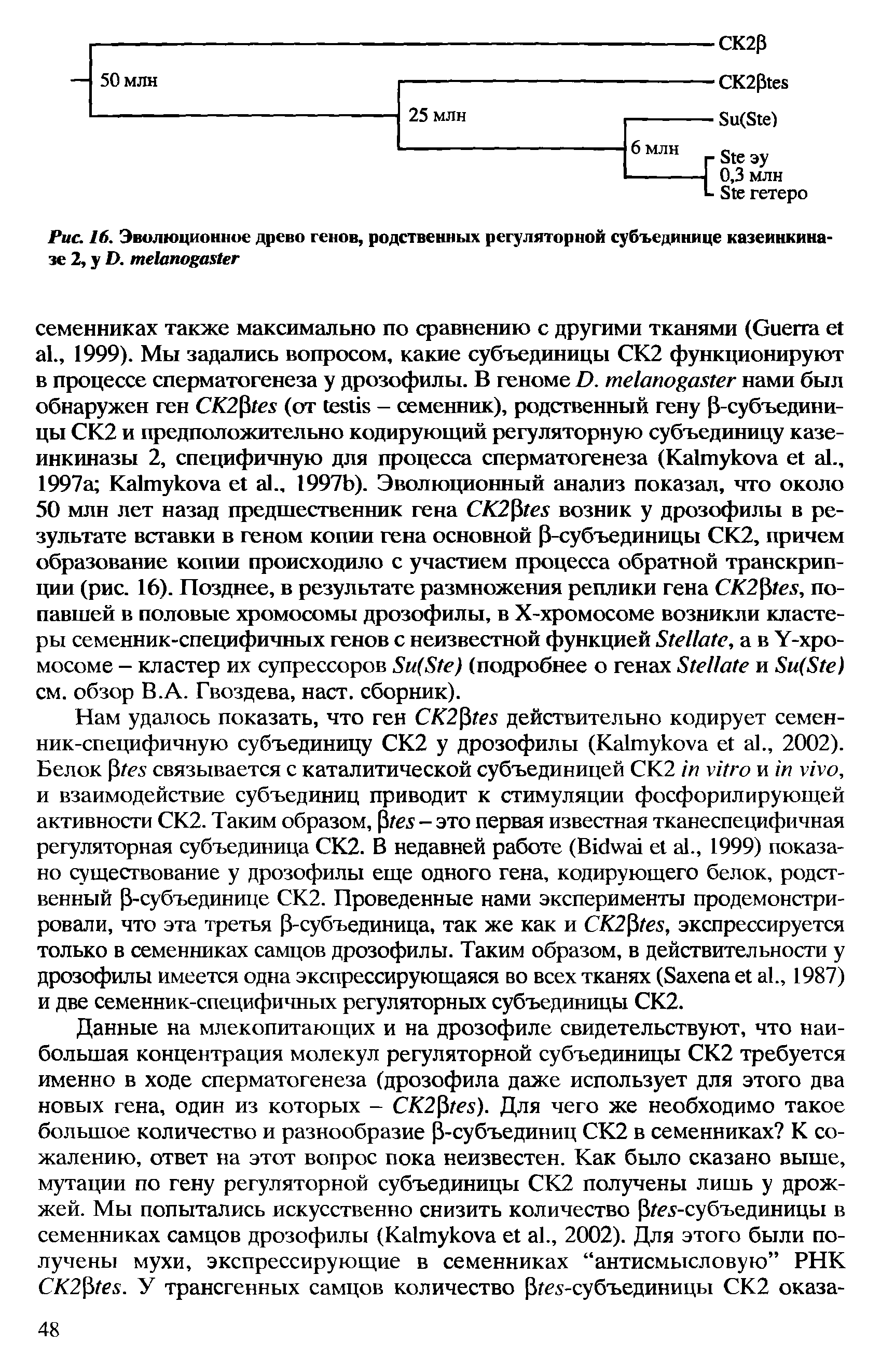 Рис. 16. Эволюционное древо генов, родственных регуляторной субъединице казеинкина-зе 2, у О. те1апока 1ег...