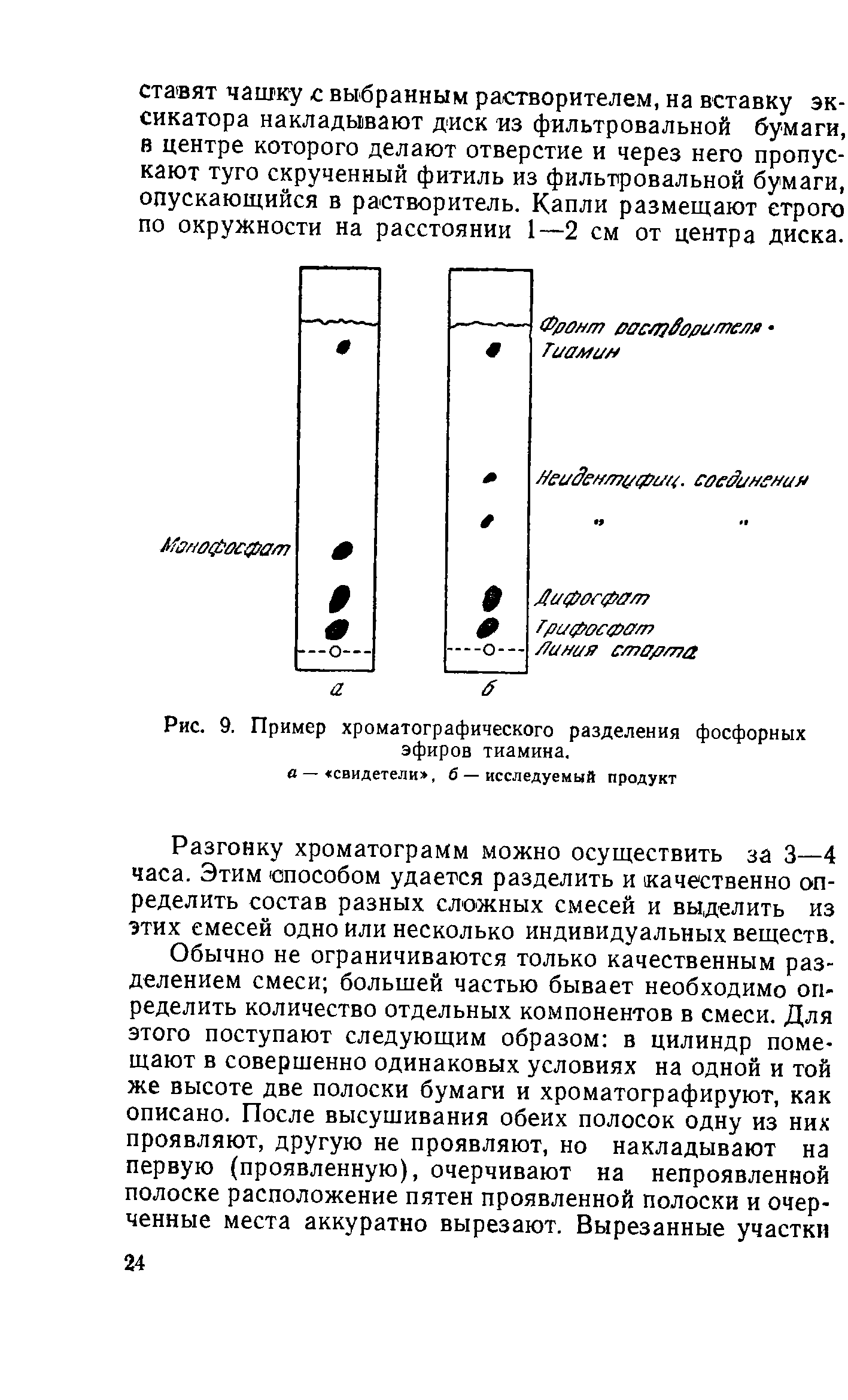 Рис. 9. Пример хроматографического разделения фосфорных эфиров тиамина.