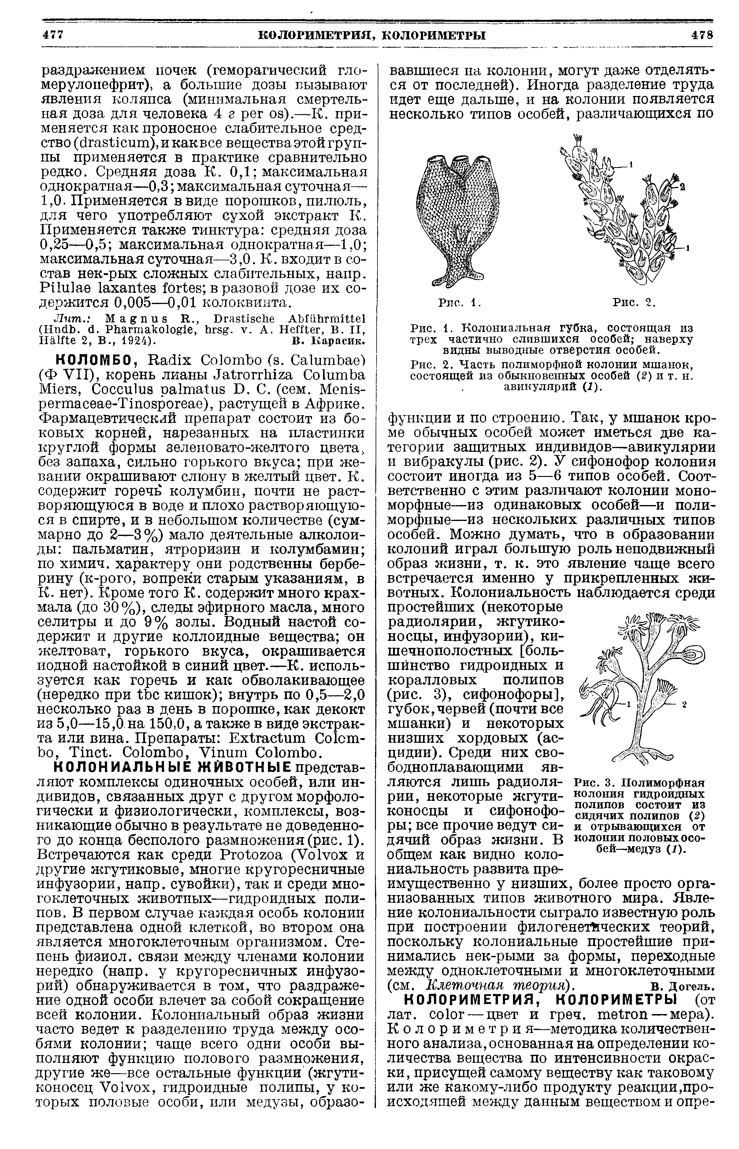 Рис. 2. Часть полиморфной колонии мшанок, состоящей из обыкновенных особей (2) и т. н. авикулярий (I).