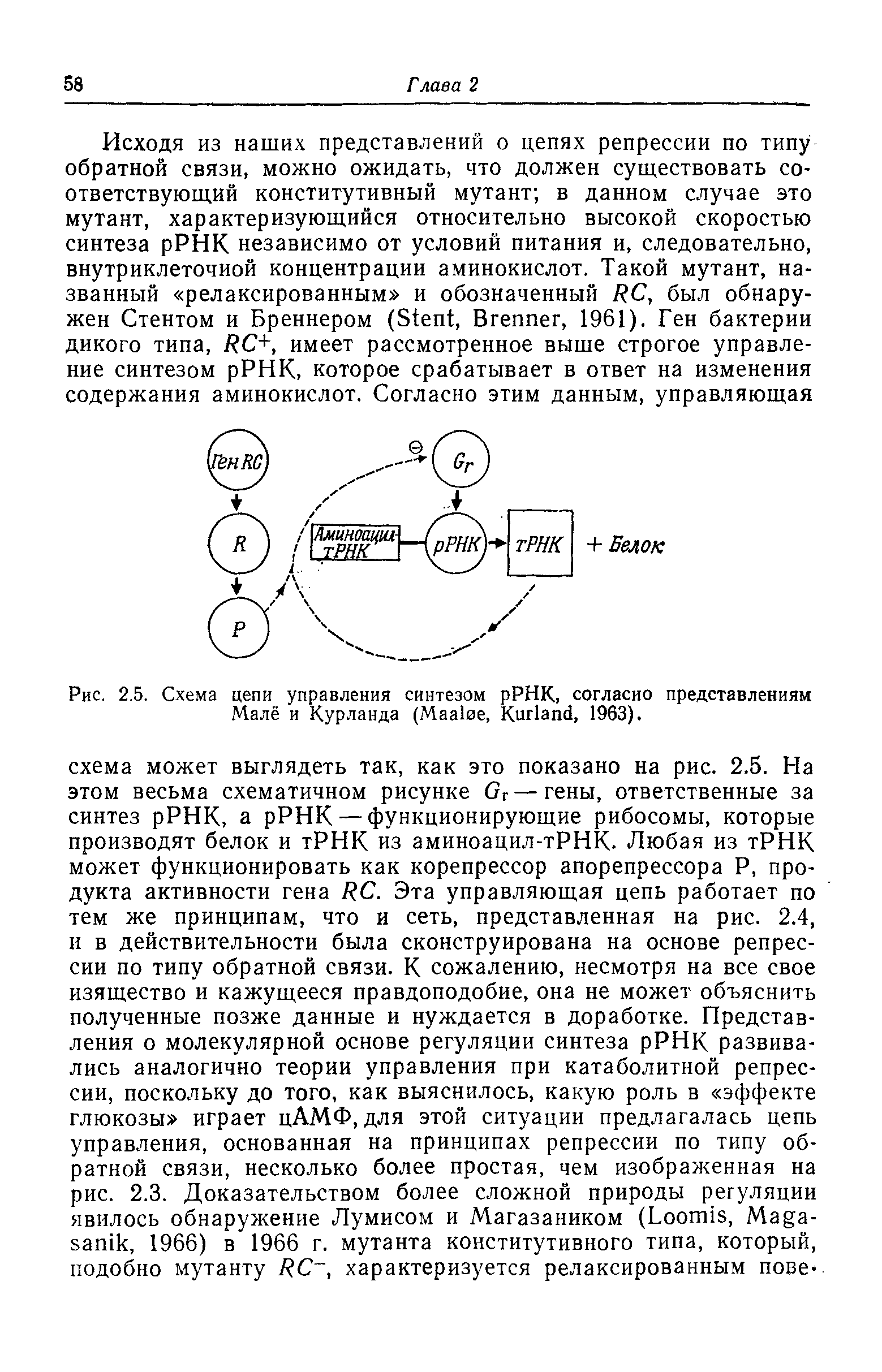 Рис. 2.5. Схема цепи управления синтезом рРНК, согласно представлениям...