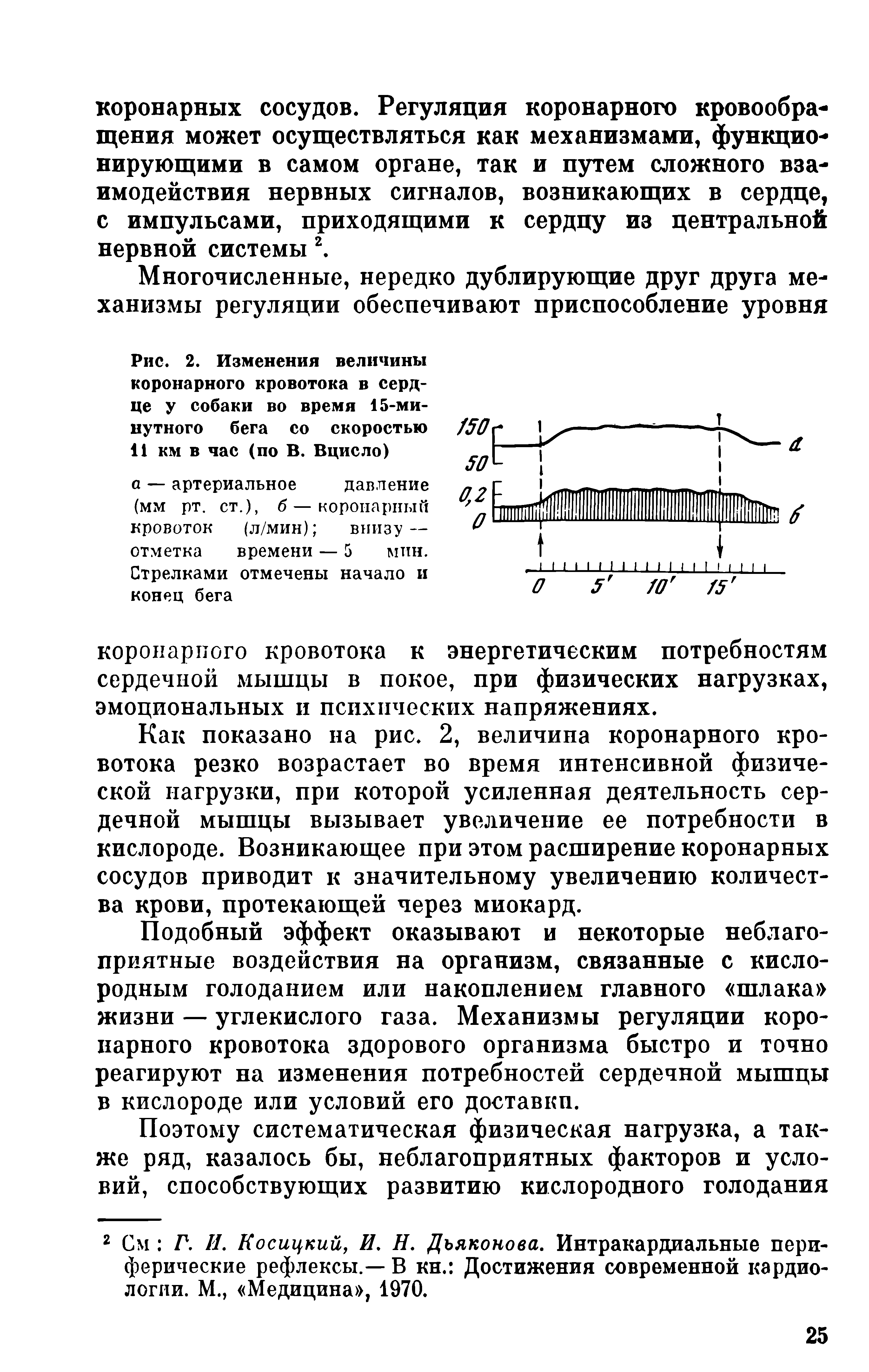 Рис. 2. Изменения величины коронарного кровотока в сердце у собаки во время 15-минутного бега со скоростью 11 км в час (по В. Вцисло)...