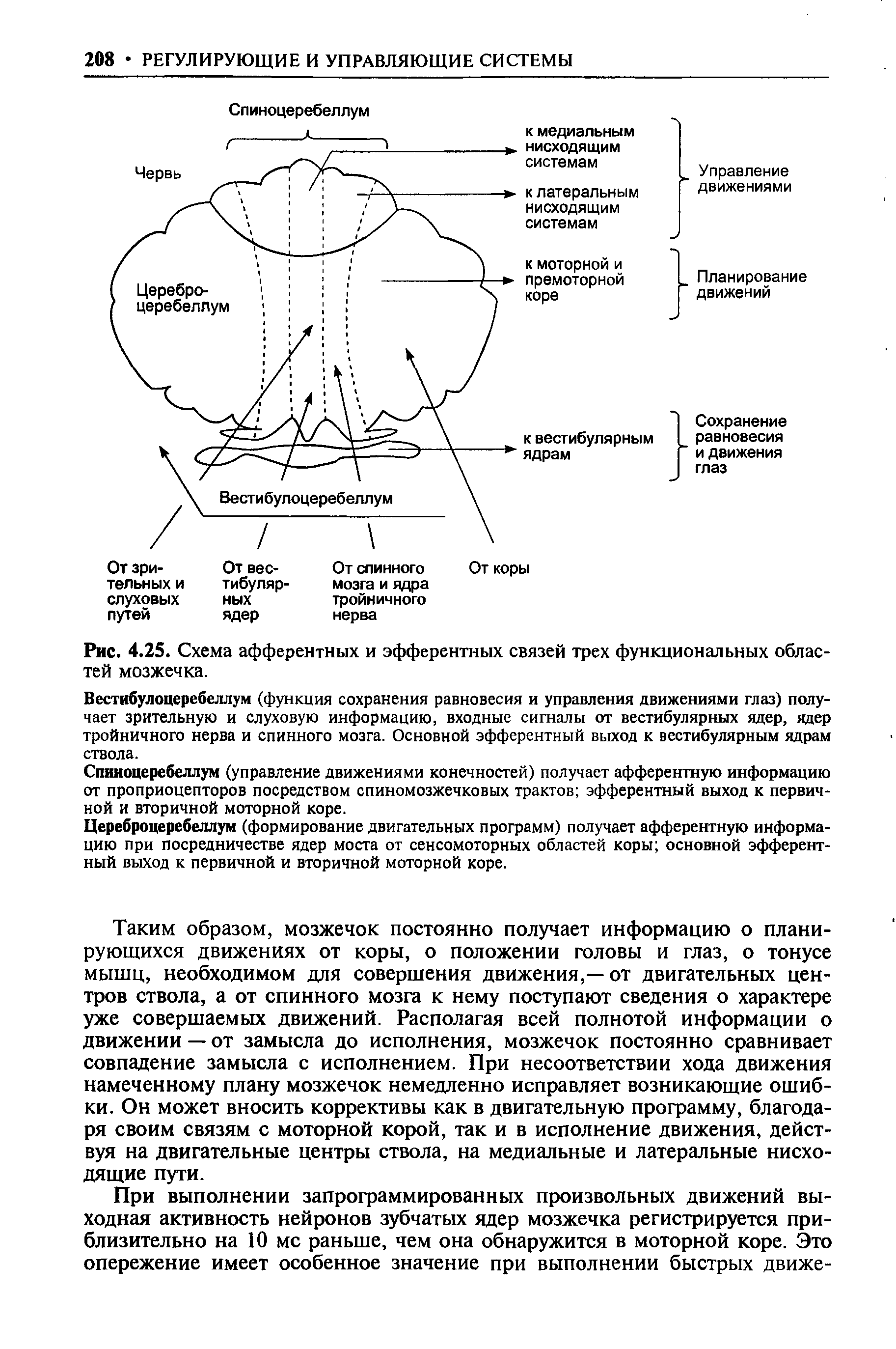 Рис. 4.25. Схема афферентных и эфферентных связей трех функциональных областей мозжечка.