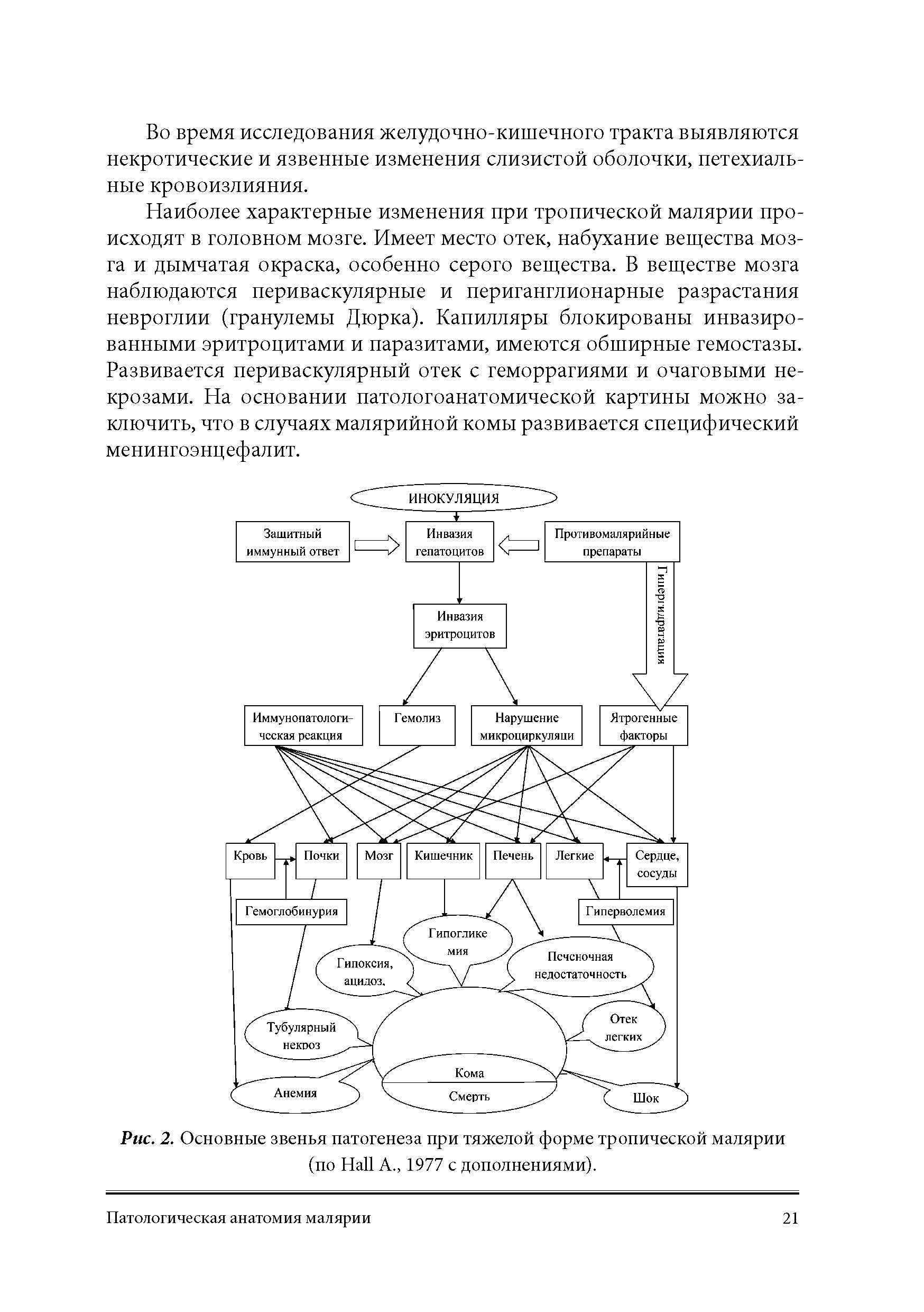 Рис. 2. Основные звенья патогенеза при тяжелой форме тропической малярии (по H А., 1977 с дополнениями).