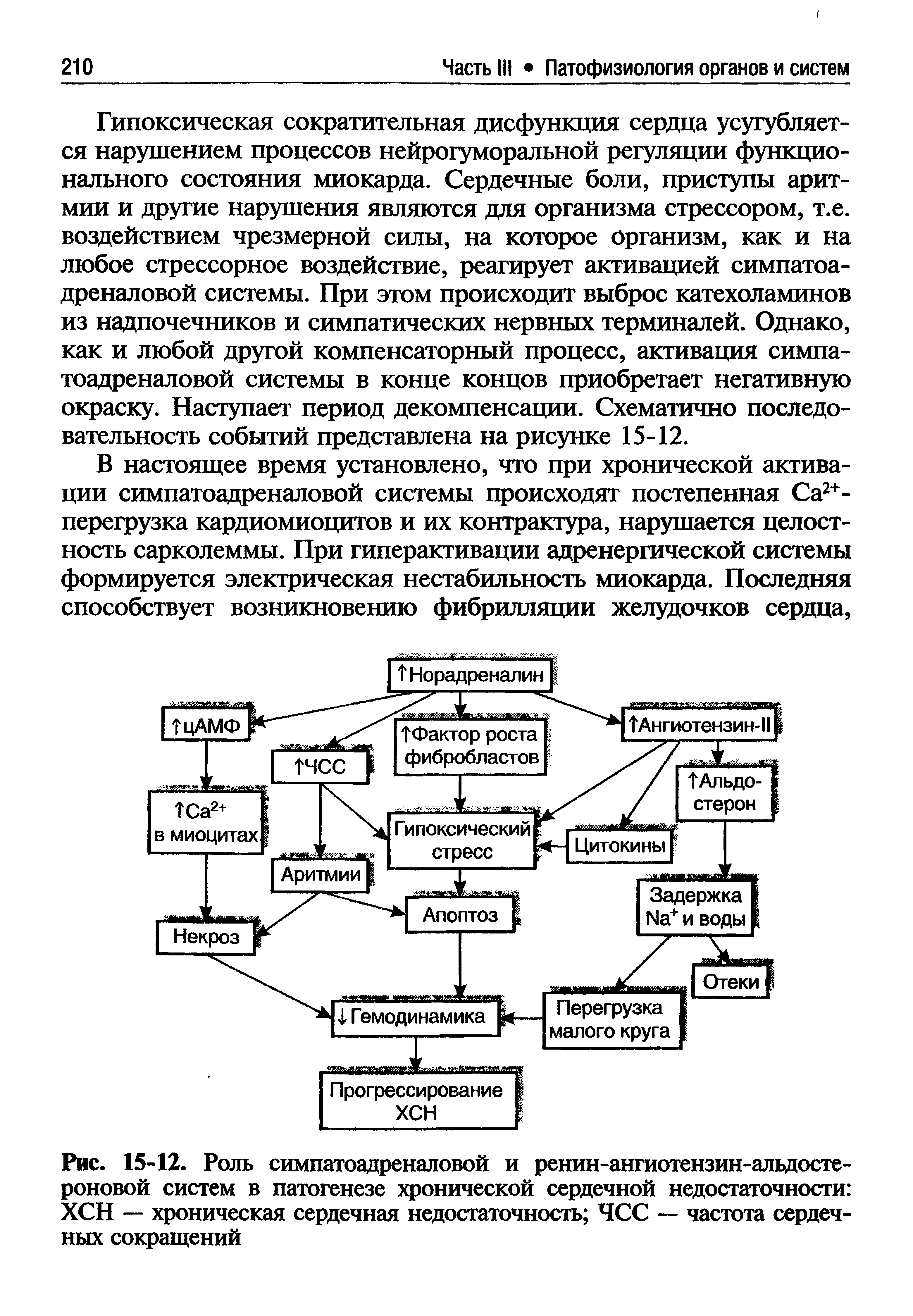 Рис. 15-12. Роль симпатоадреналовой и ренин-ангиотензин-альдосте-роновой систем в патогенезе хронической сердечной недостаточности ХСН — хроническая сердечная недостаточность ЧСС частота сердечных сокращений...