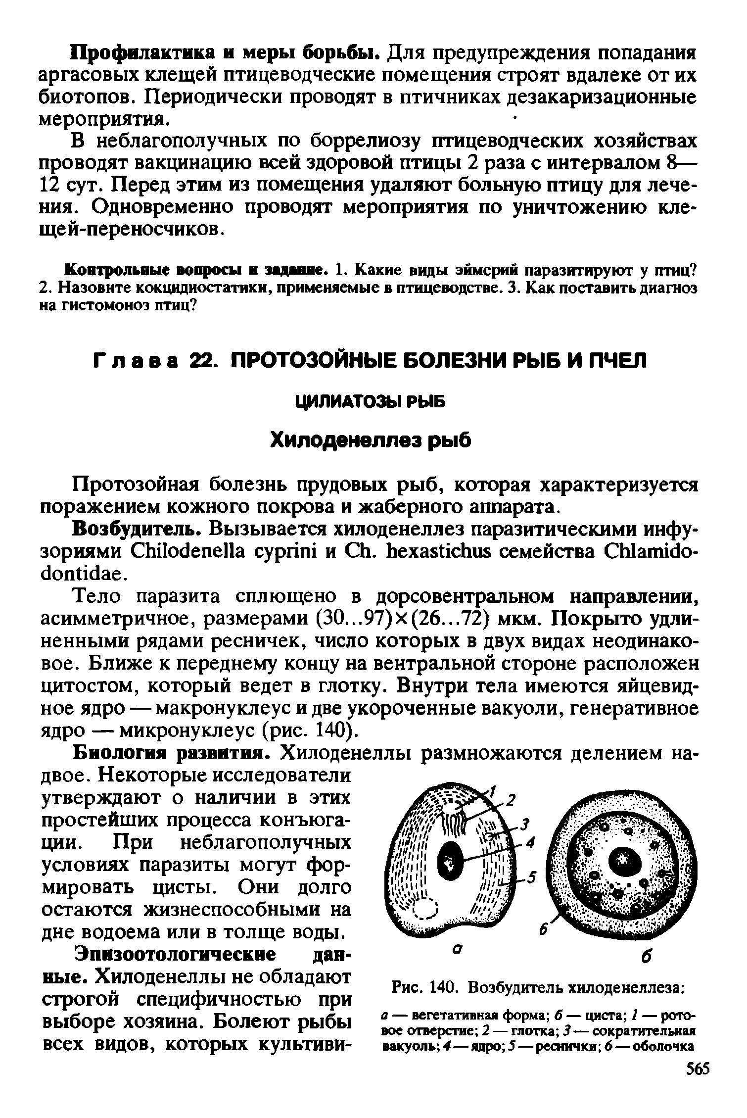 Рис. 140. Возбудитель хилоденеллеза а — вегетативная форма б — циста 1 — ротовое отверстие 2 — глотка 3—сократительная вакуоль 4—ядро 5—реснички 6—оболочка...