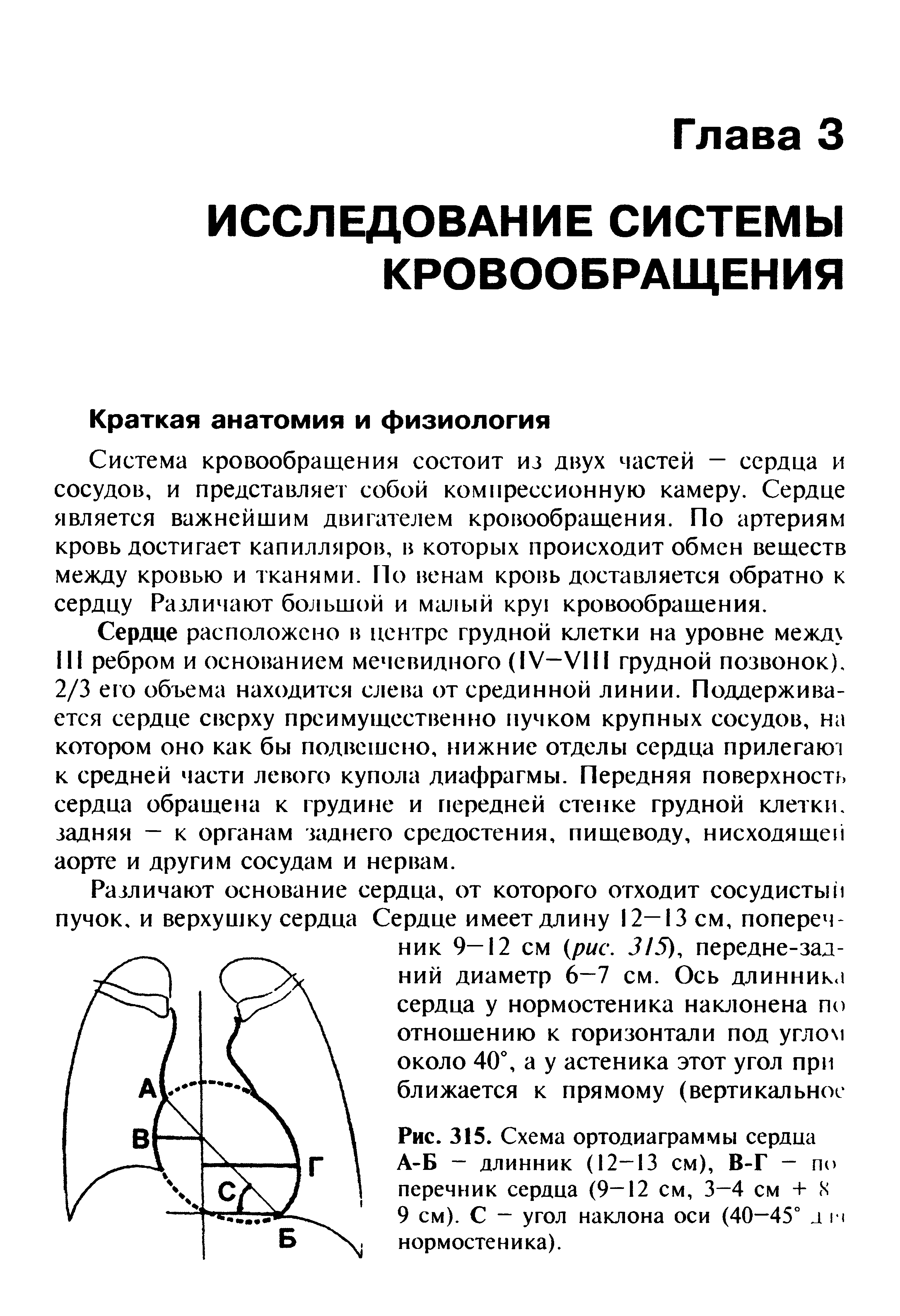 Рис. 315. Схема ортодиаграммы сердца А-Б - длинник (12-13 см), В-Г - по перечник сердца (9-12 см, 3-4 см + N 9 см). С - угол наклона оси (40—45° ап нормостеника).