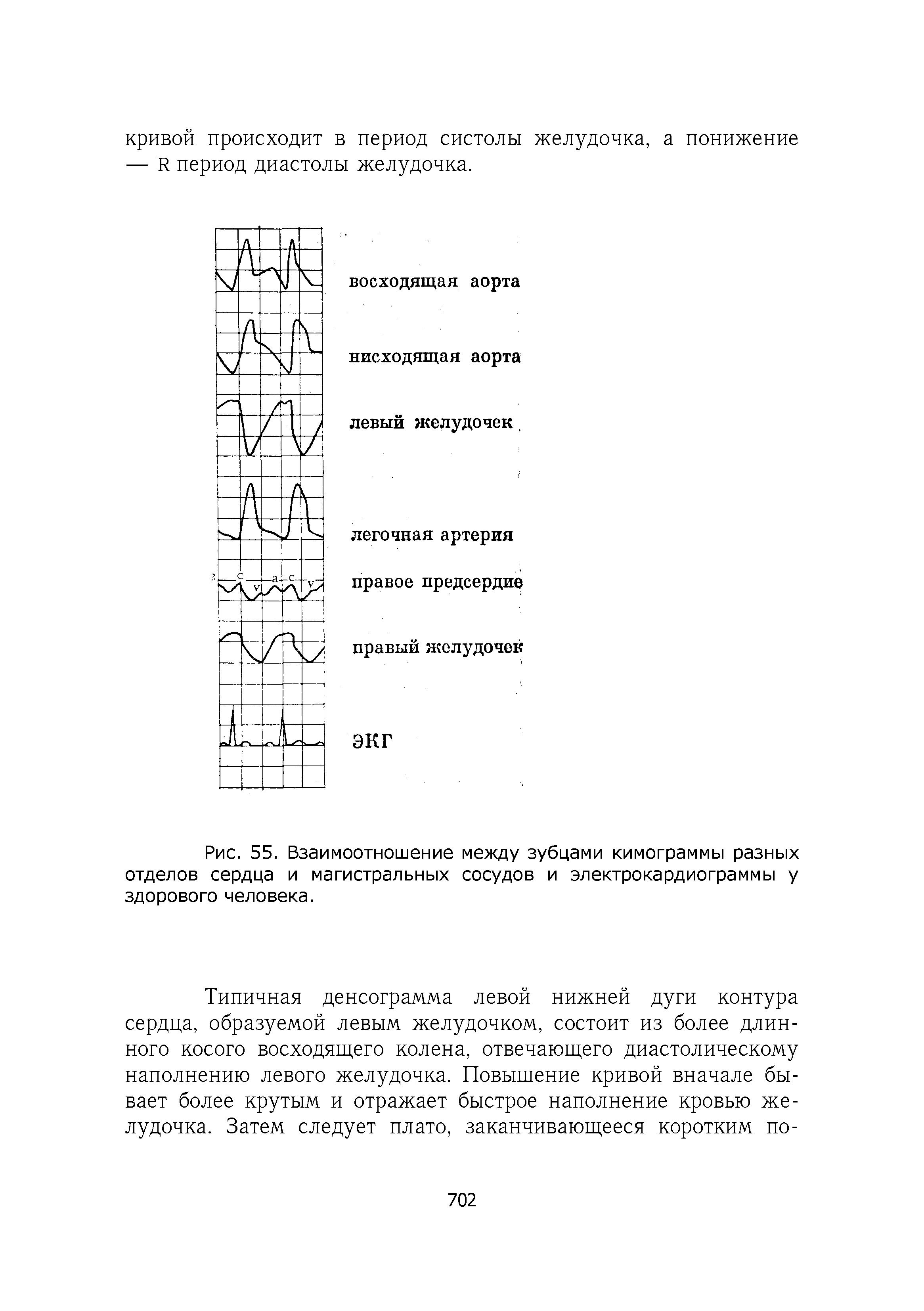 Рис. 55. Взаимоотношение между зубцами кимограммы разных отделов сердца и магистральных сосудов и электрокардиограммы у здорового человека.