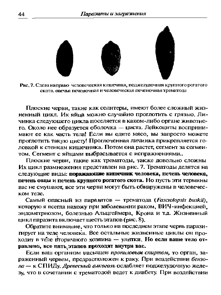 Рис. 7. Слева направо человеческая кишечная, поджелудочная крупного рогатого скота, овечья печеночная и человеческая печеночная трематода...