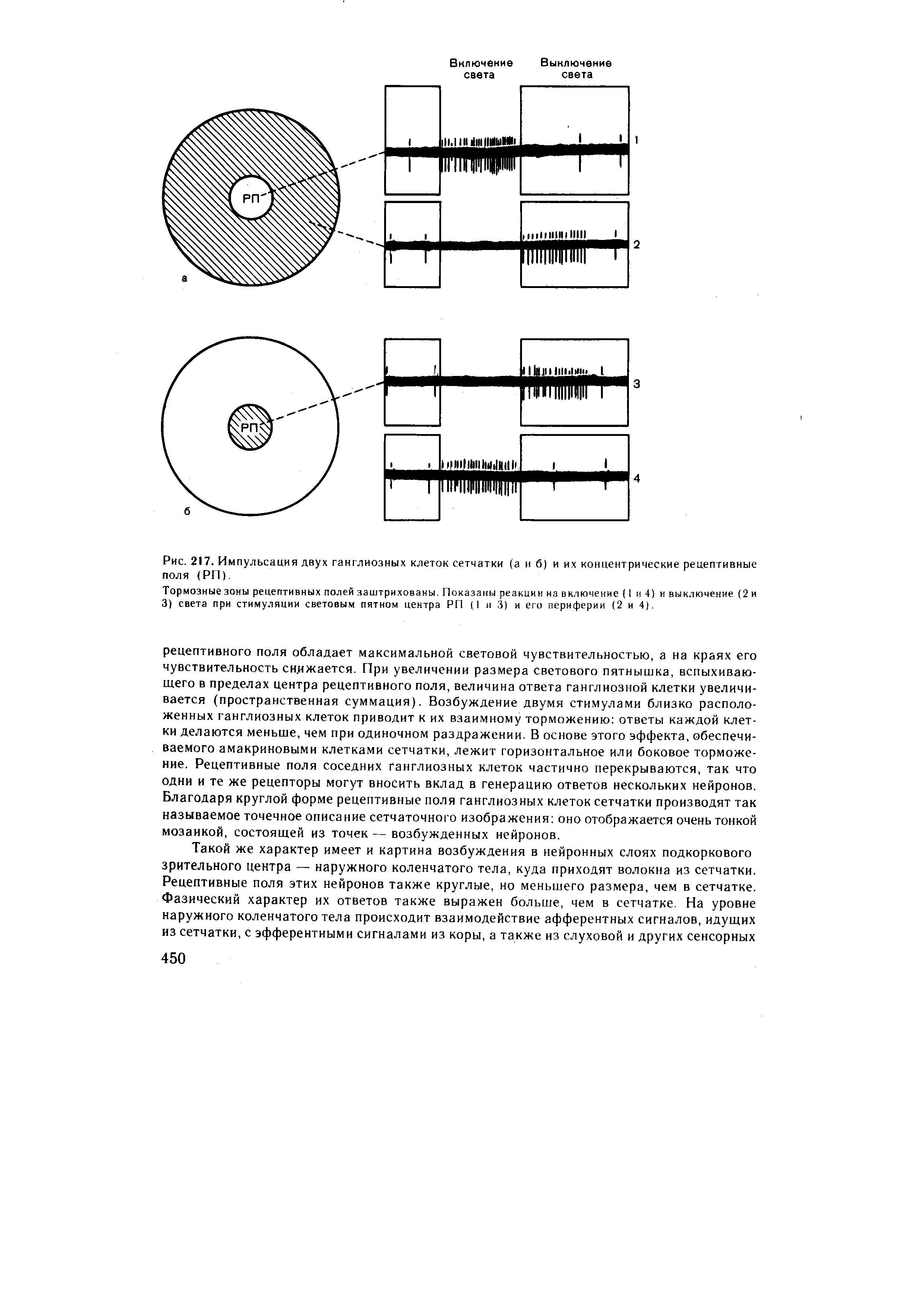 Рис. 217. Импульсация двух ганглиозных клеток сетчатки (а и б) и их концентрические рецептивные поля (РП).