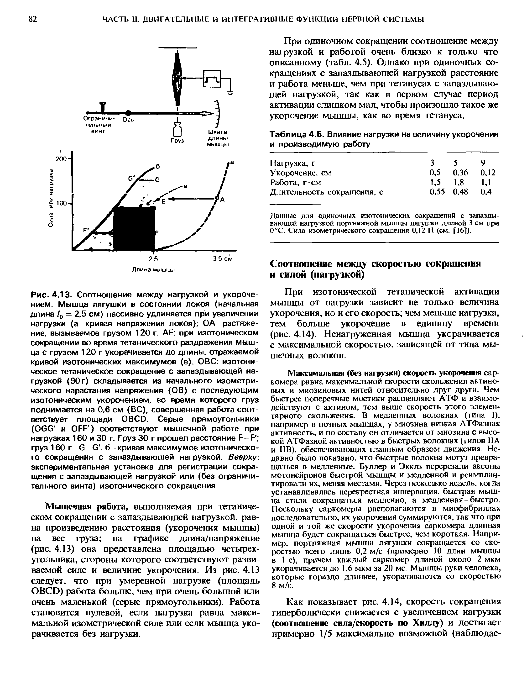 Таблица 4.5. Влияние нагрузки на величину укорочения и производимую работу...