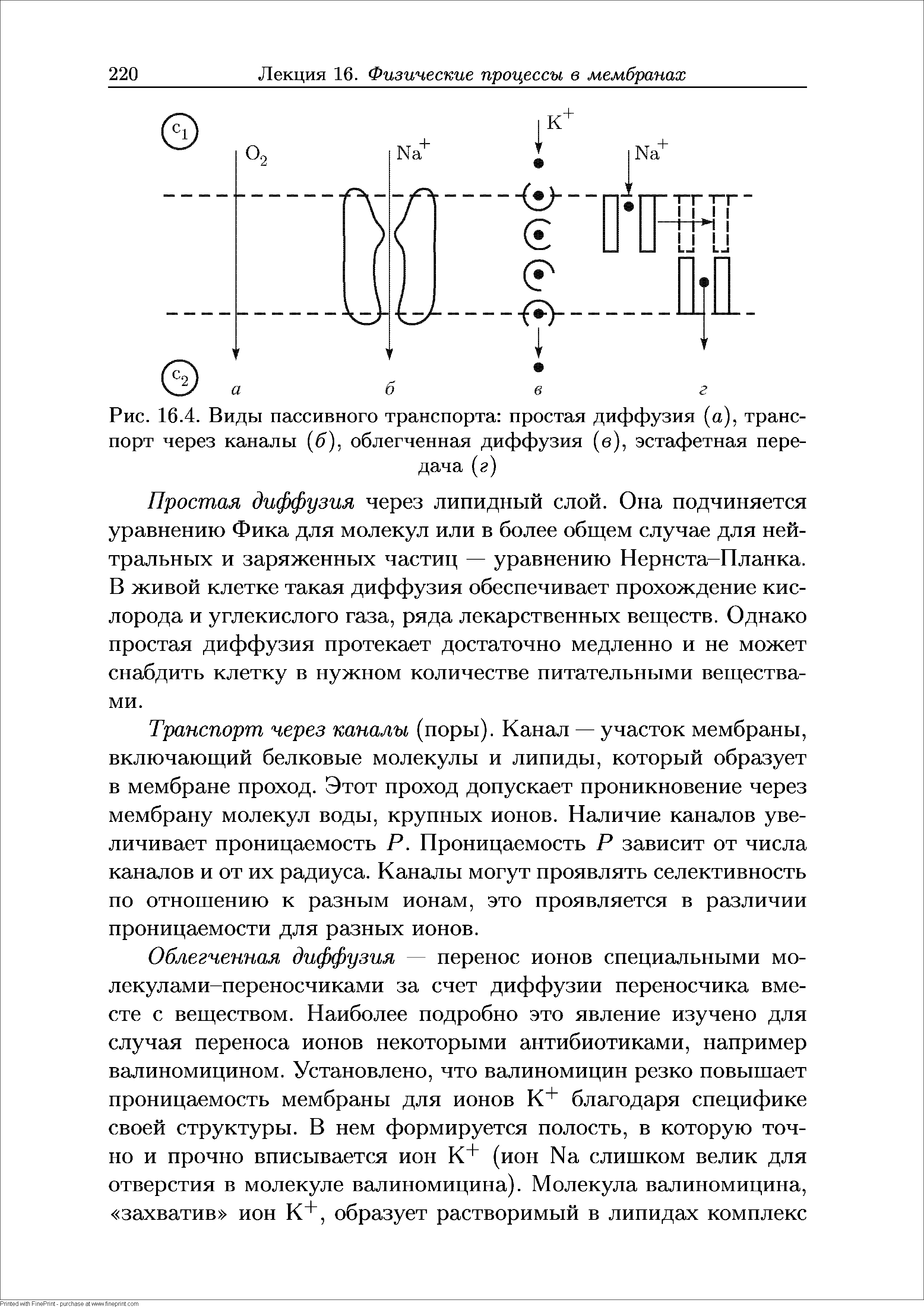 Рис. 16.4. Виды пассивного транспорта простая диффузия (а), транспорт через каналы ( >), облегченная диффузия (в), эстафетная передача (г)...