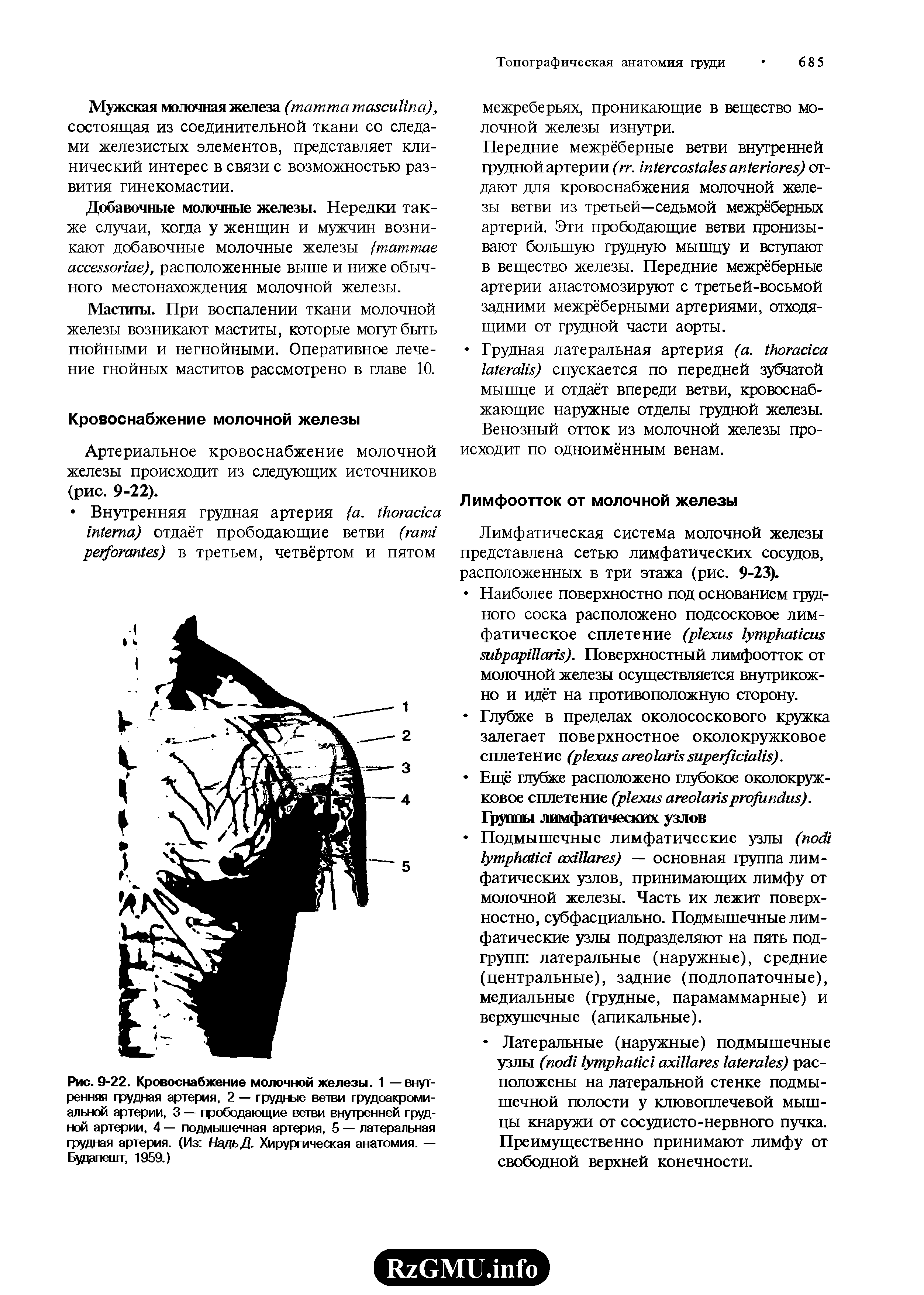 Рис. 9-22. Кровоснабжение молочной железы. 1 — внутренняя грудная артерия, 2 — грудные ветви грудоакромиальной артерии, 3 — прободающие ветви внутренней грудной артерии, 4 — подмышечная артерия, 5 — латеральная грудная артерия. (Из НадьД. Хирургическая анатомия. — Будапешт, 1959.)...