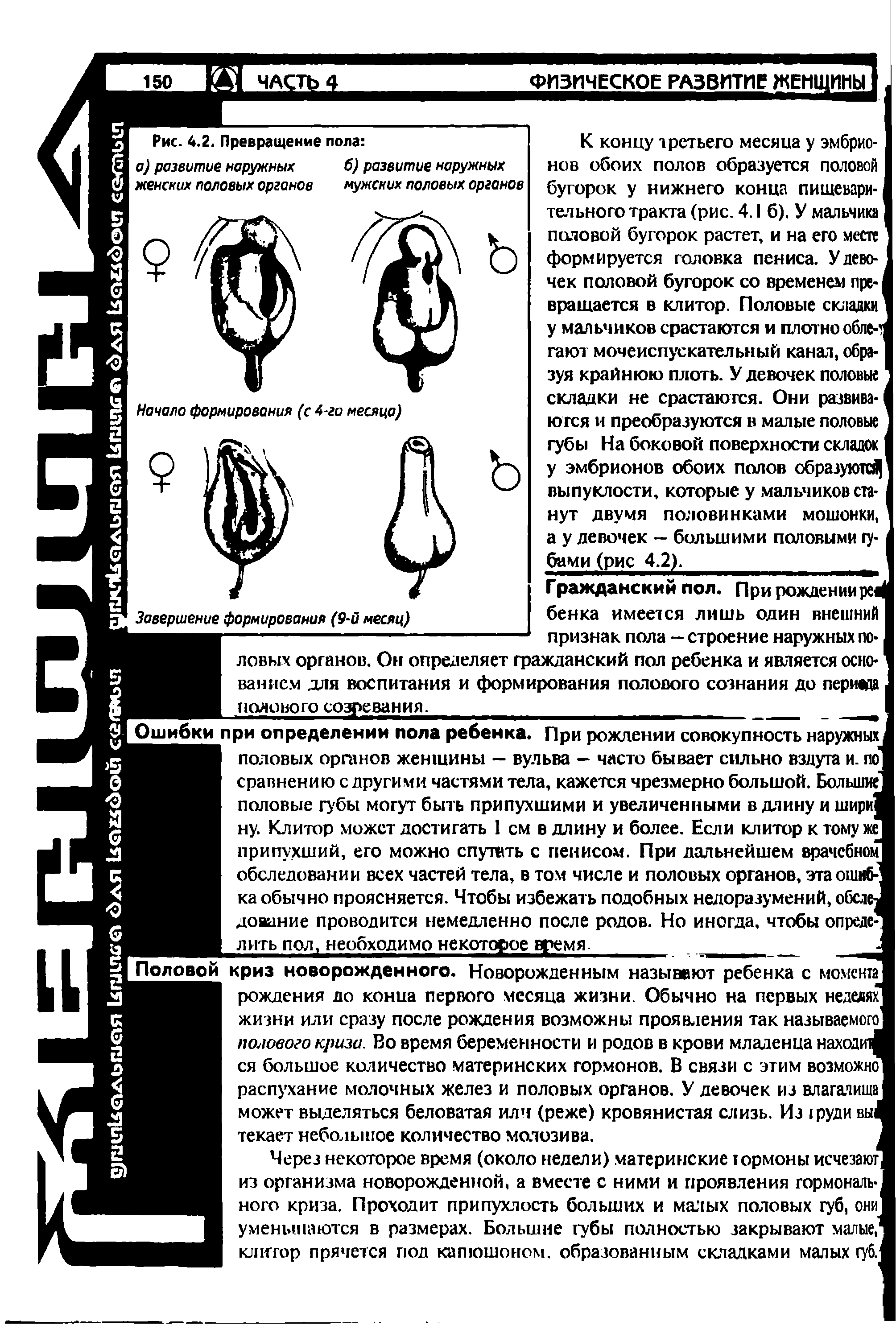 Рис. 4.2. Превращение пола а) развитие наружных женских половых органов...