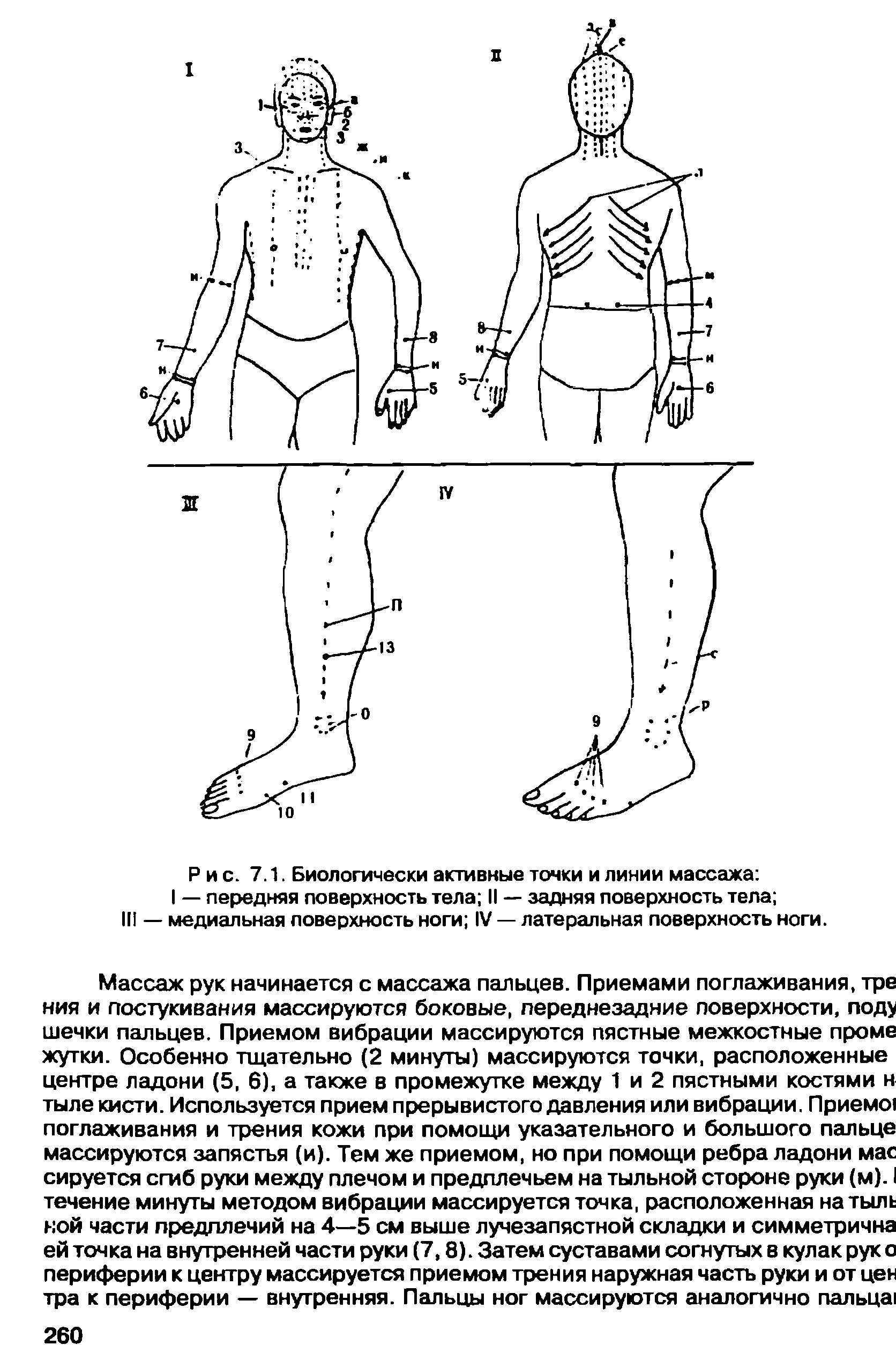Рис. 7.1. Биологически активные точки и линии массажа I — передняя поверхность тела II — задняя поверхность тела III — медиальная поверхность ноги IV — латеральная поверхность ноги.