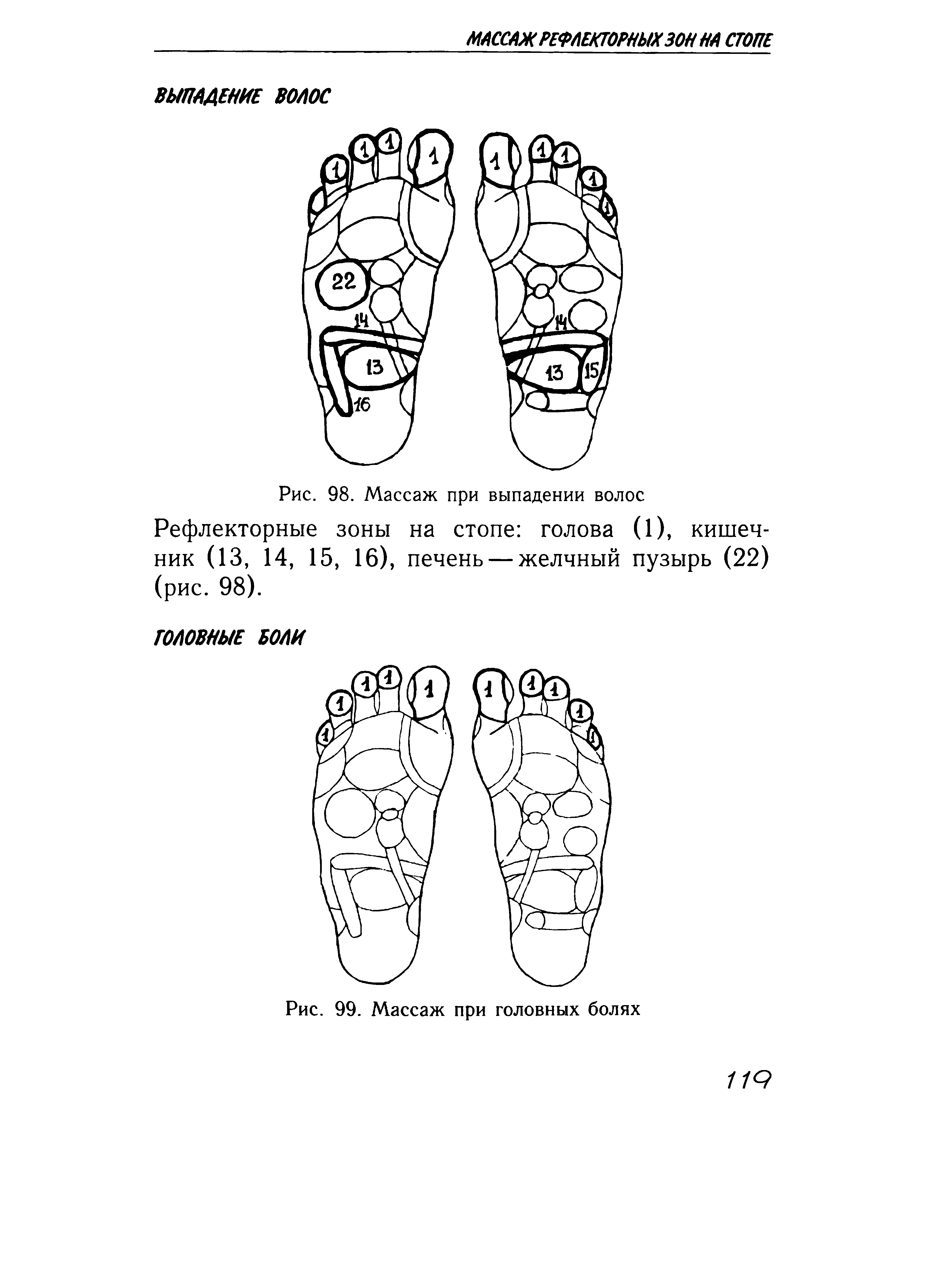 Рис. 98. Массаж при выпадении волос Рефлекторные зоны на стопе голова (1), кишечник (13, 14, 15, 16), печень — желчный пузырь (22) (рис. 98).