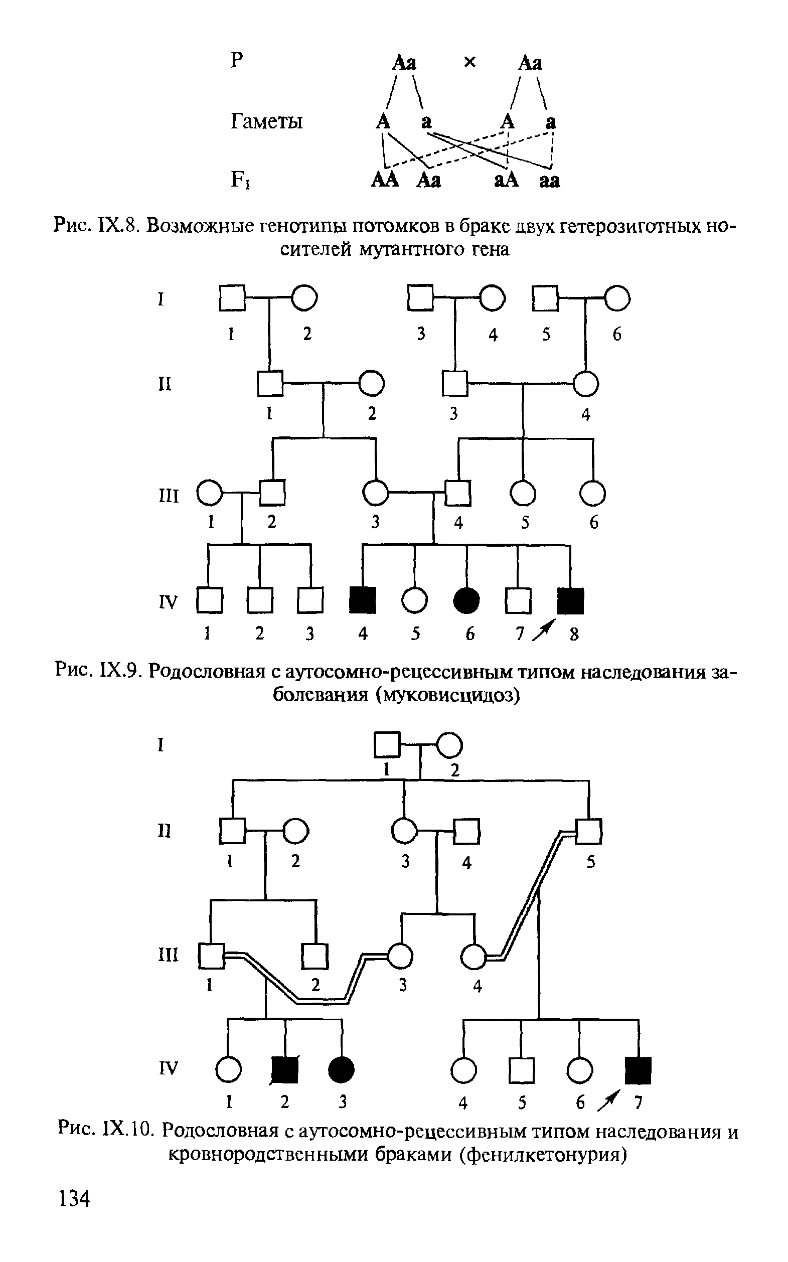 Рис. 1Х.9. Родословная с аутосомно-рецессивным типом наследования заболевания (муковисцидоз)...