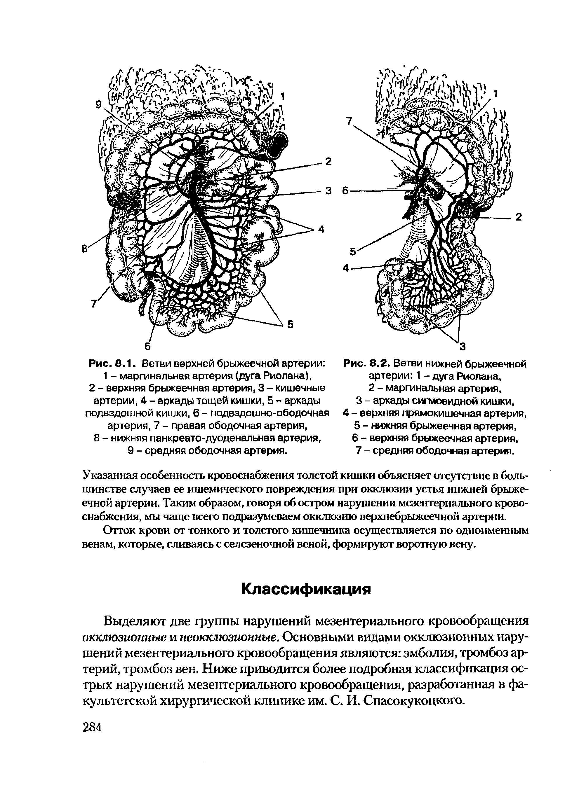 Рис. 8.2. Ветви нижней брыжеечной артерии 1 - дуга Риолана, 2 - маргинальная артерия, 3 - аркады сигмовидной кишки,...