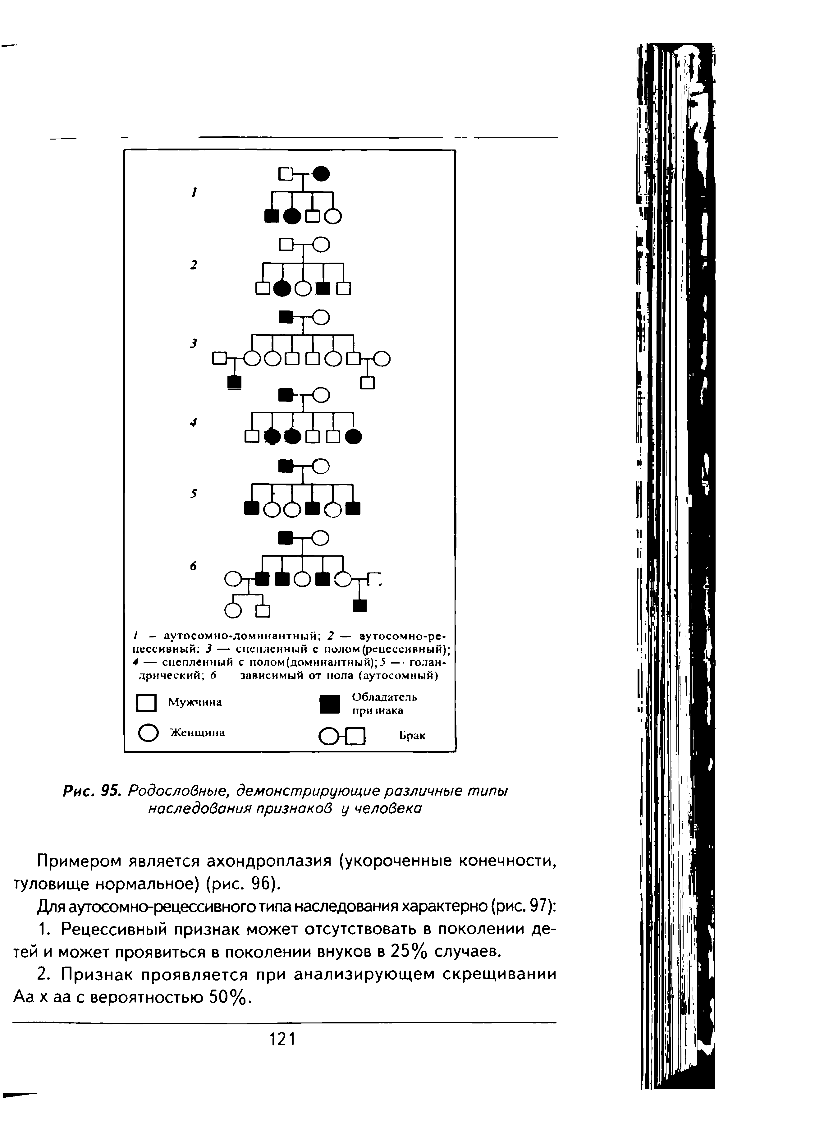 Рис. 95. Родословные, демонстрирующие различные типы наследования признаков у человека...