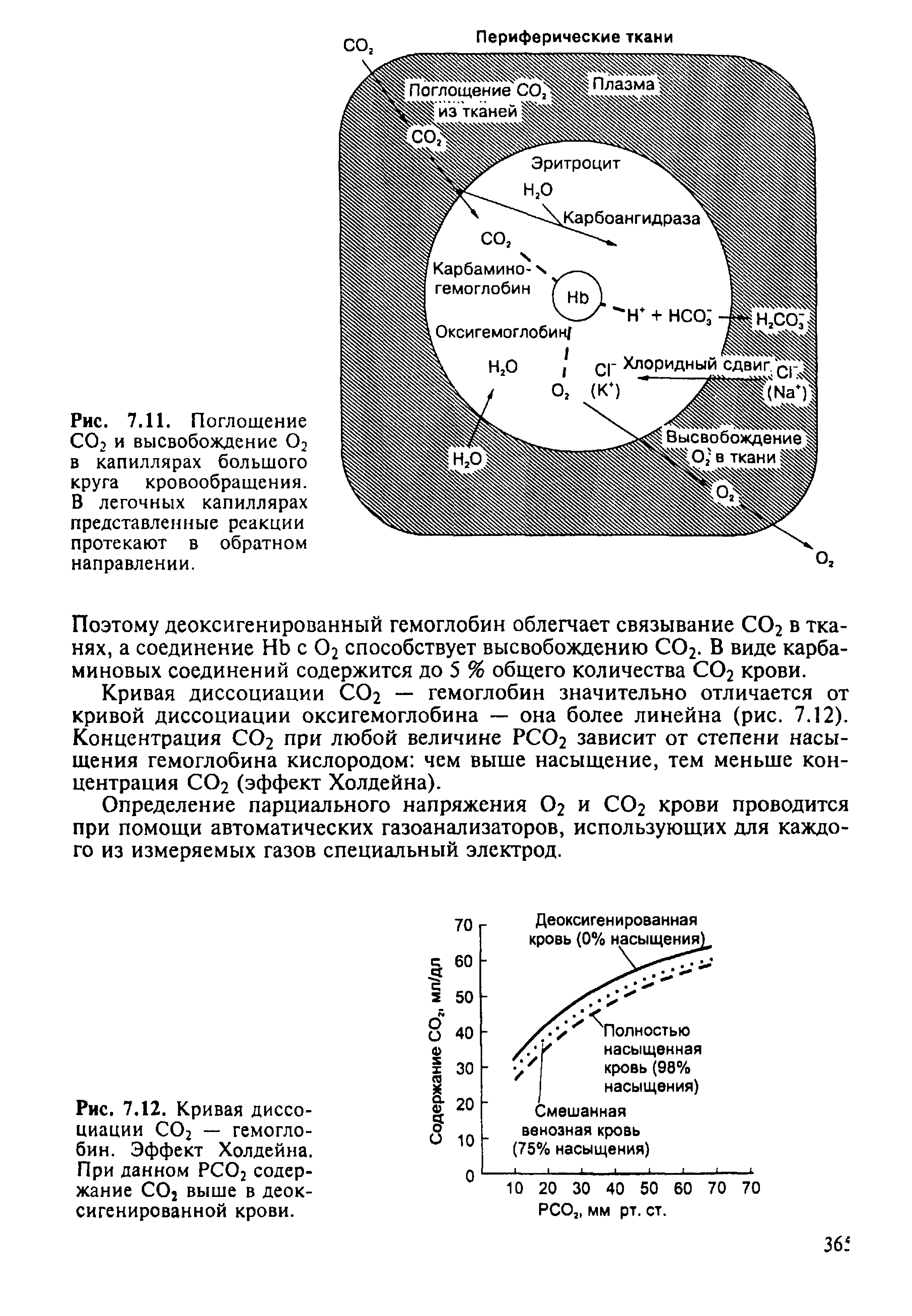 Рис. 7.12. Кривая диссоциации СО2 — гемоглобин. Эффект Холдейна. При данном РСО2 содержание СО2 выше в деоксигенированной крови.