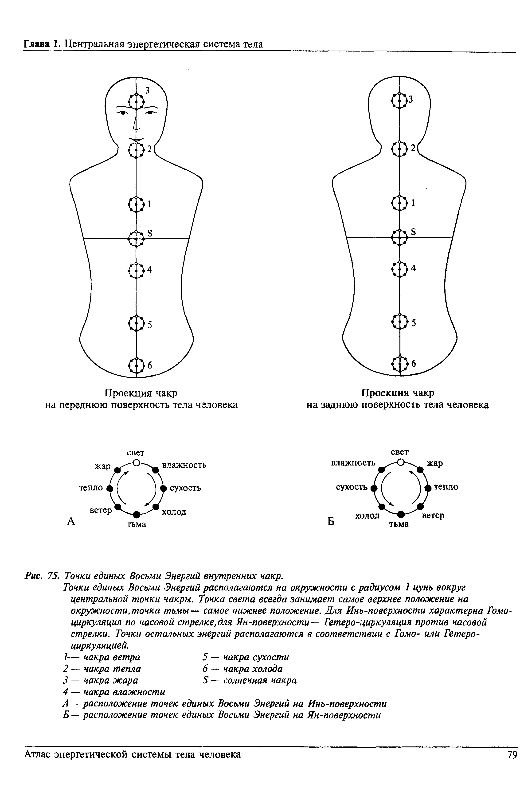 Рис. 75. Точки единых Восьми Энергий внутренних чакр.