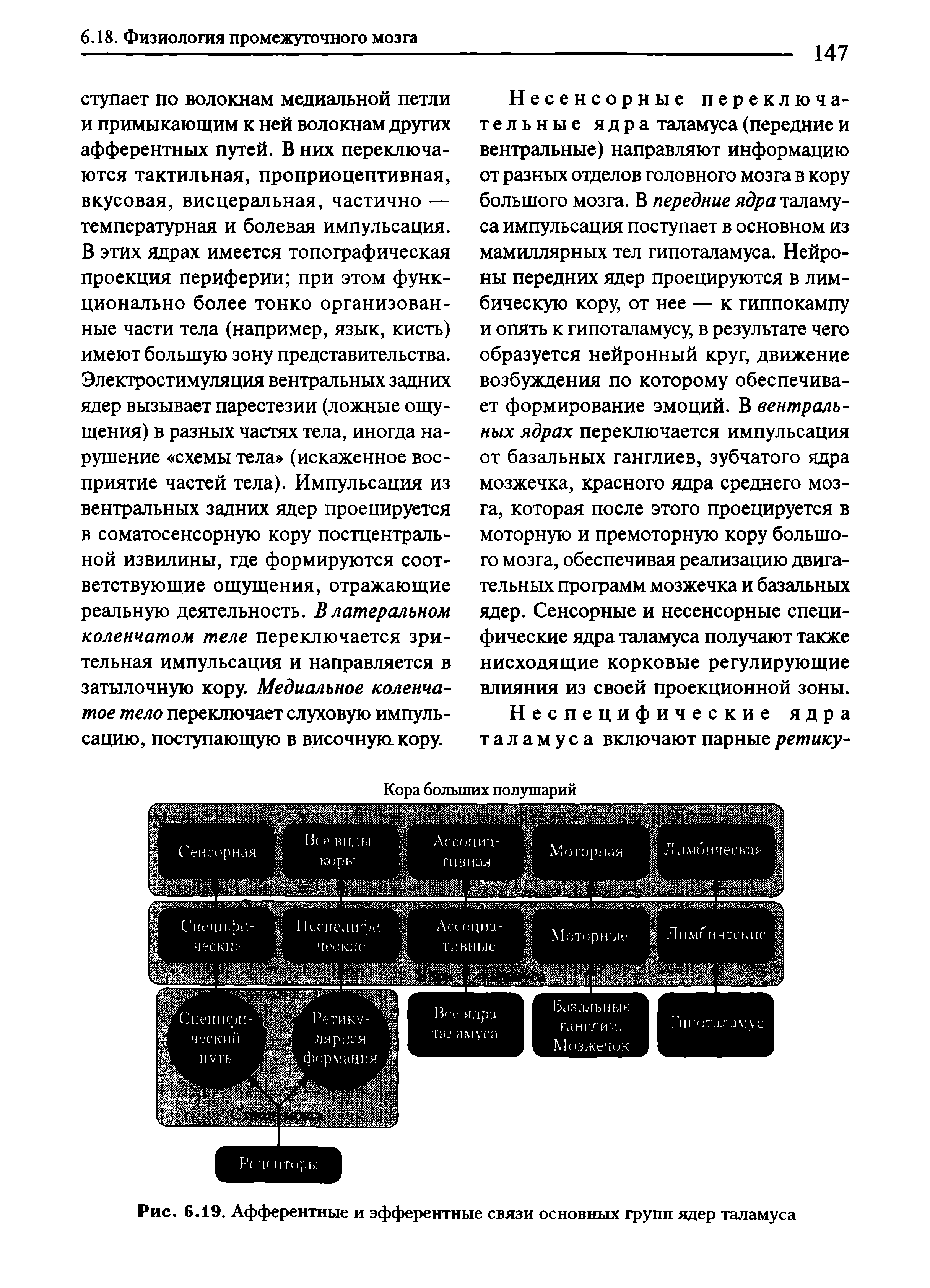 Рис. 6.19, Афферентные и эфферентные связи основных групп ядер таламуса...