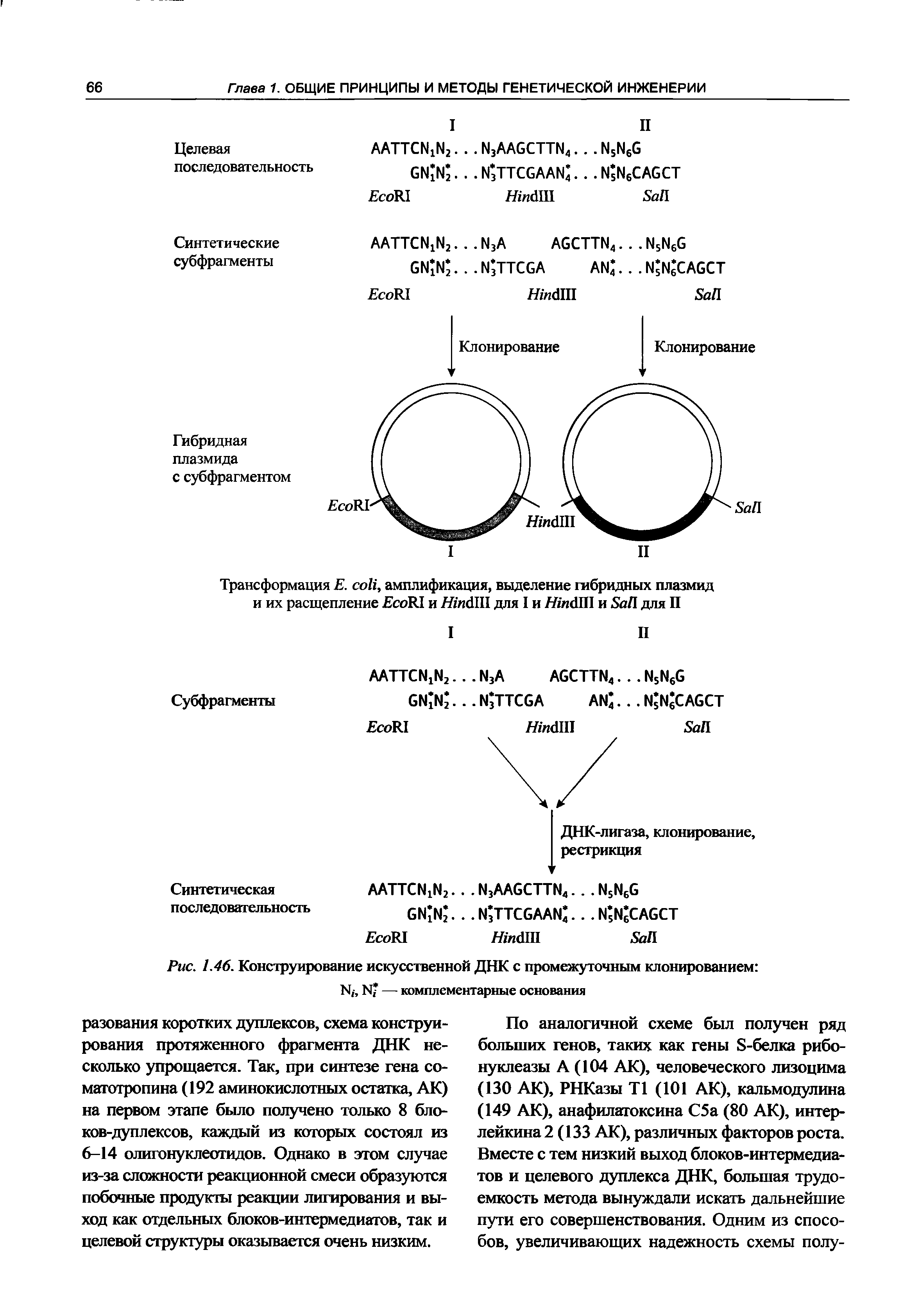 Рис. 1.46. Конструирование искусственной ДНК с промежуточным клонированием Я/, И — комплементарные основания...