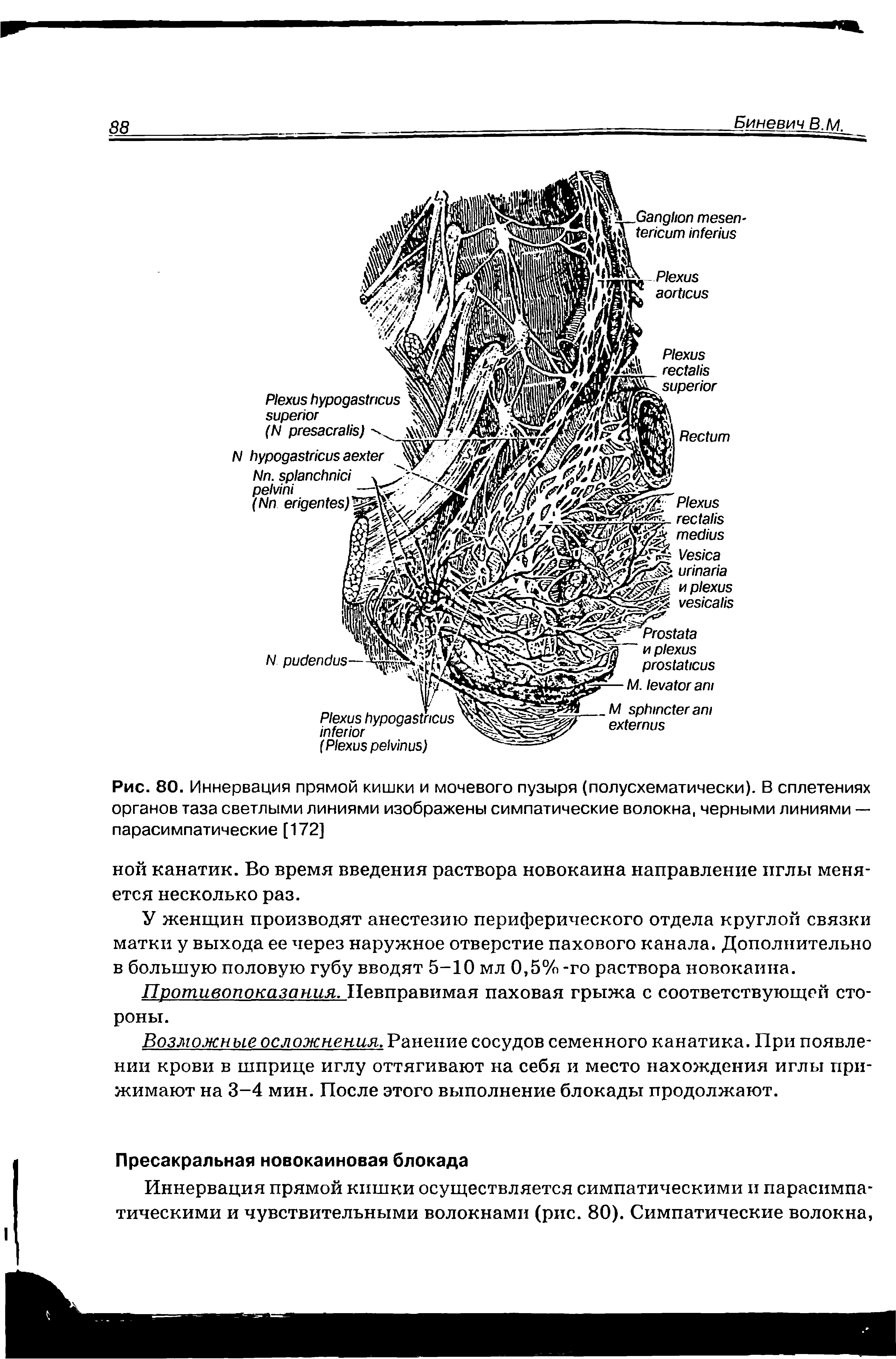 Рис. 80. Иннервация прямой кишки и мочевого пузыря (полусхематически). В сплетениях органов таза светлыми линиями изображены симпатические волокна, черными линиями — парасимпатические [172]...