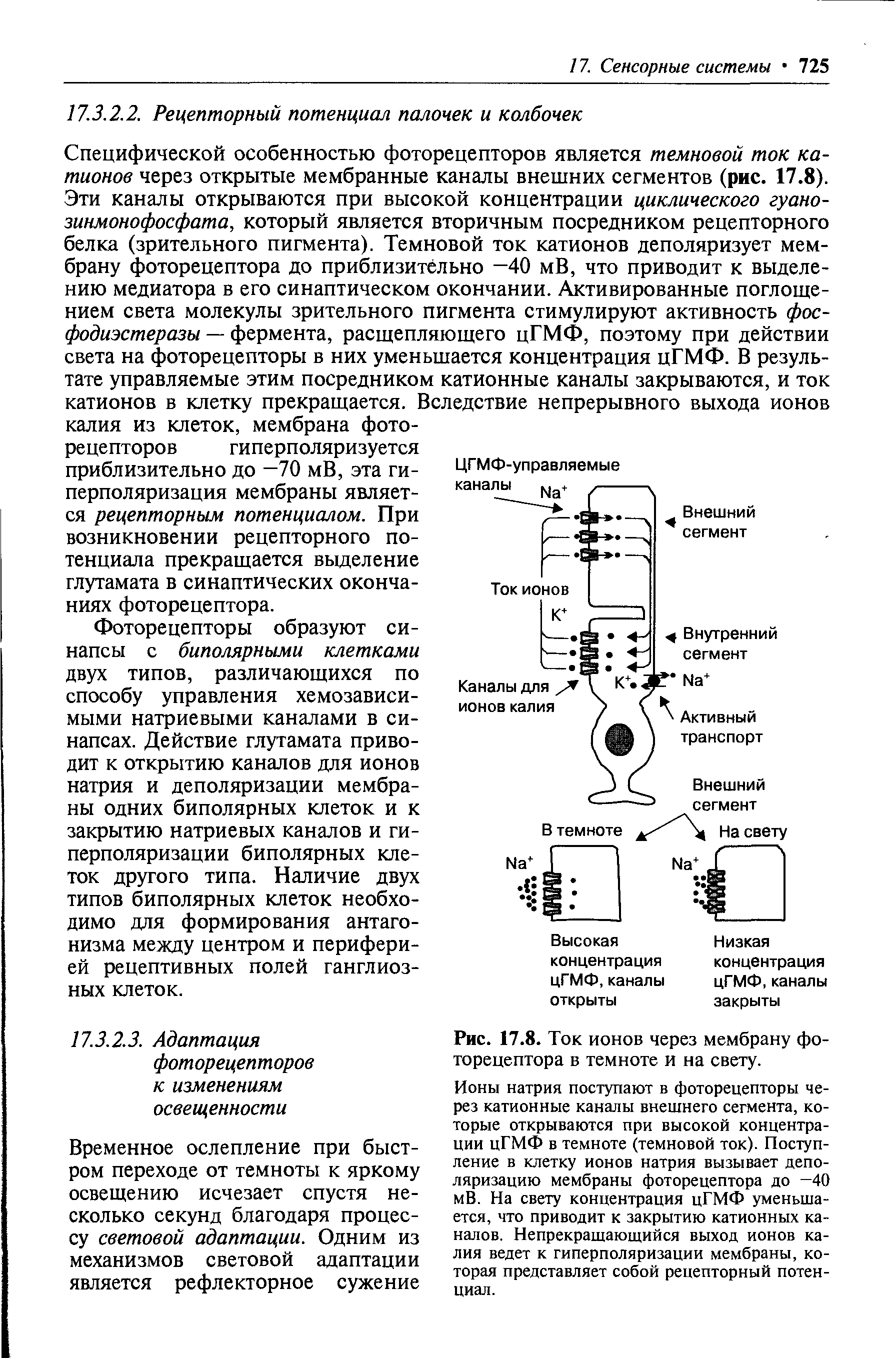 Рис. 17.8. Ток ионов через мембрану фоторецептора в темноте и на свету.