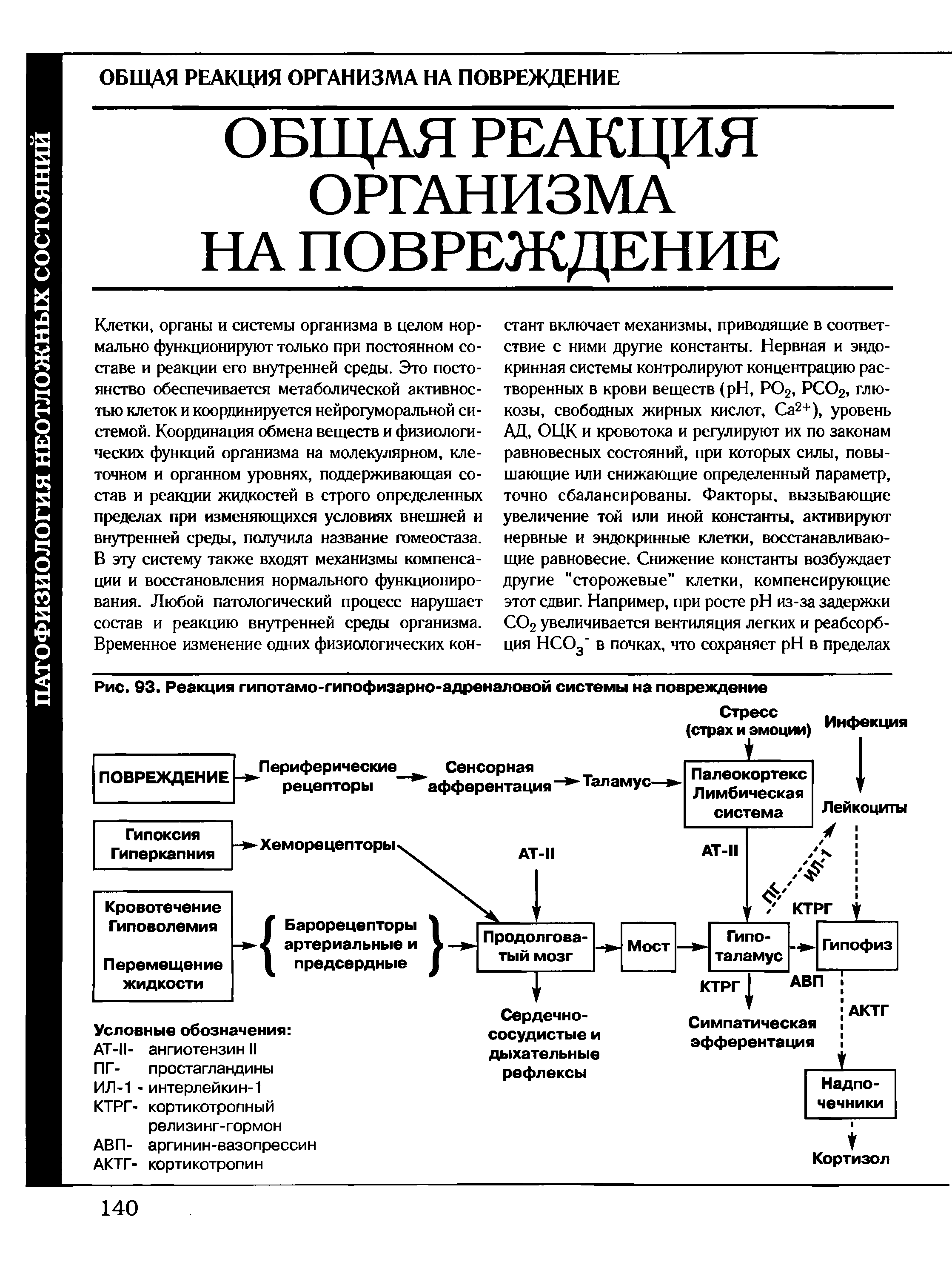 Рис. 93. Реакция гипотамо-гипофизарно-адреналовой системы на повреждение...