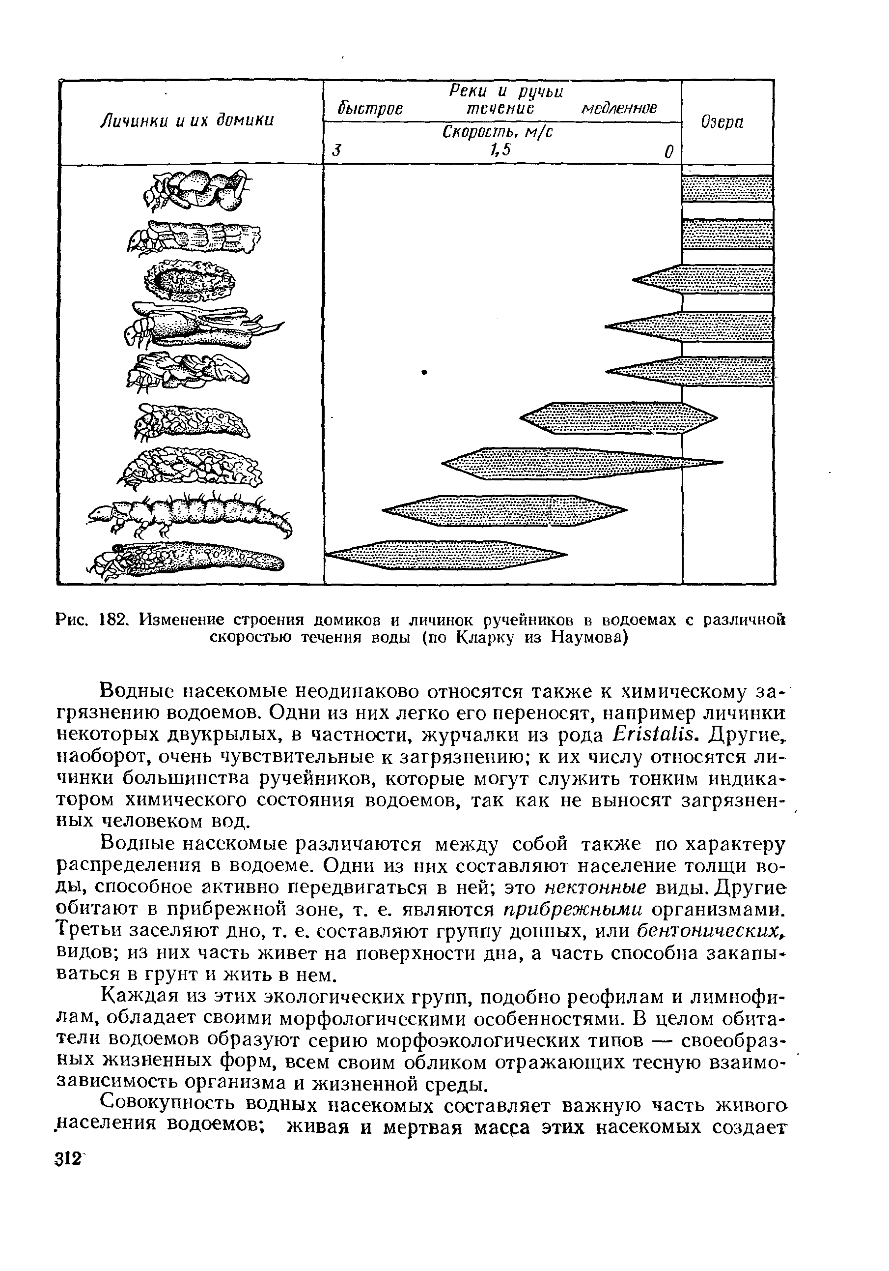 Рис. 182. Изменение строения домиков и личинок ручейников в водоемах с различной скоростью течения воды (по Кларку из Наумова)...