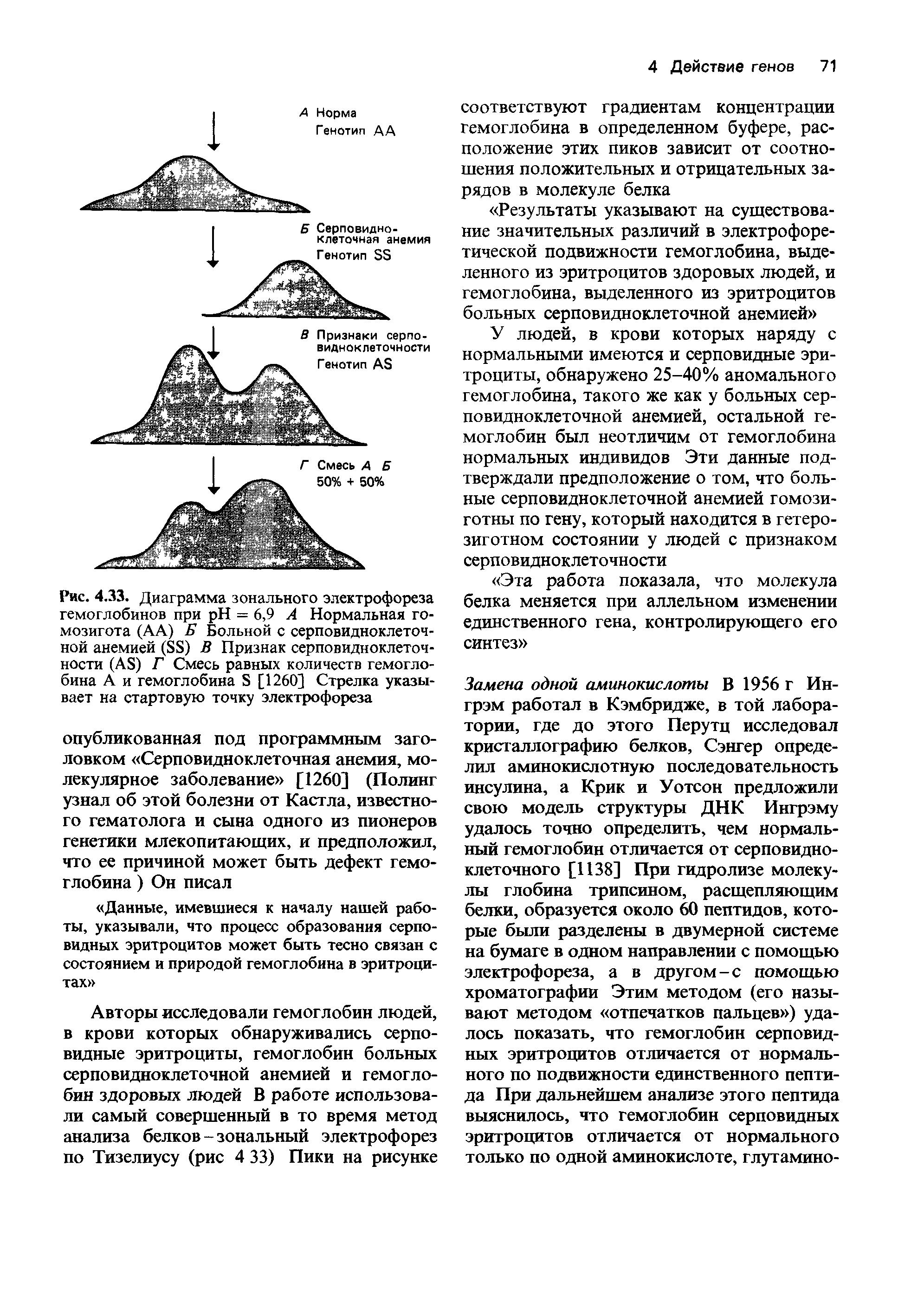 Рис. 4.33. Диаграмма зонального электрофореза гемоглобинов при H = 6,9 А Нормальная гомозигота (АА) Б Больной с серповидноклеточной анемией (ББ) В Признак серповидноклеточ-ности (А Б) Г Смесь равных количеств гемоглобина А и гемоглобина Б [1260] Стрелка указывает на стартовую точку электрофореза...