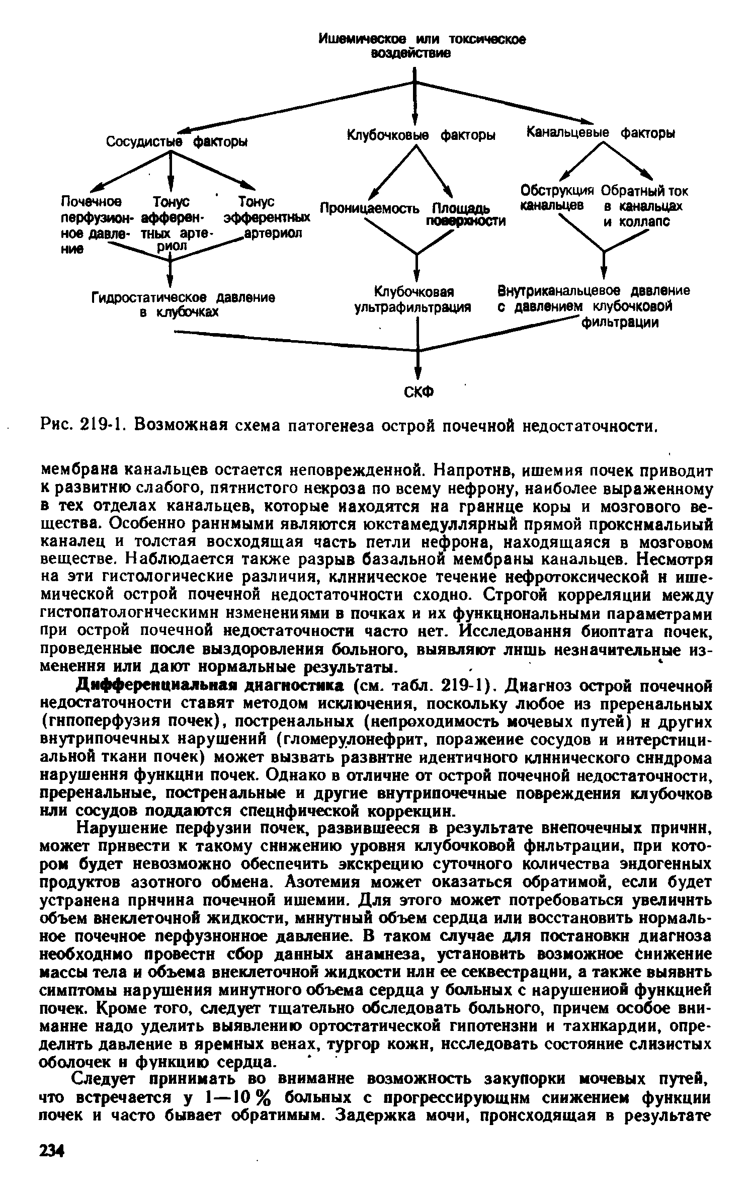 Рис. 219-1. Возможная схема патогенеза острой почечной недостаточности.