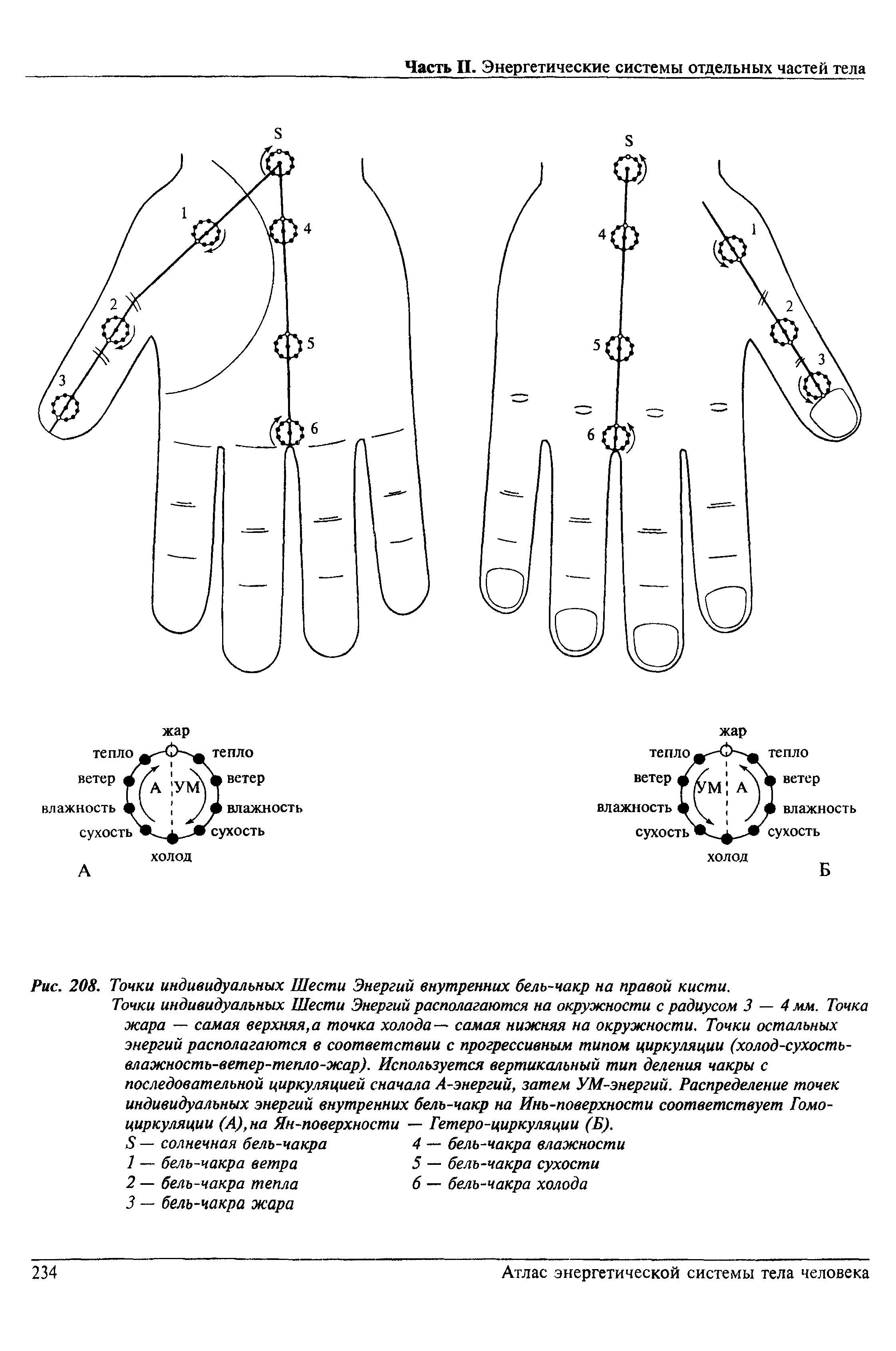 Рис. 208. Точки индивидуальных Шести Энергий внутренних бель-чакр на правой кисти.