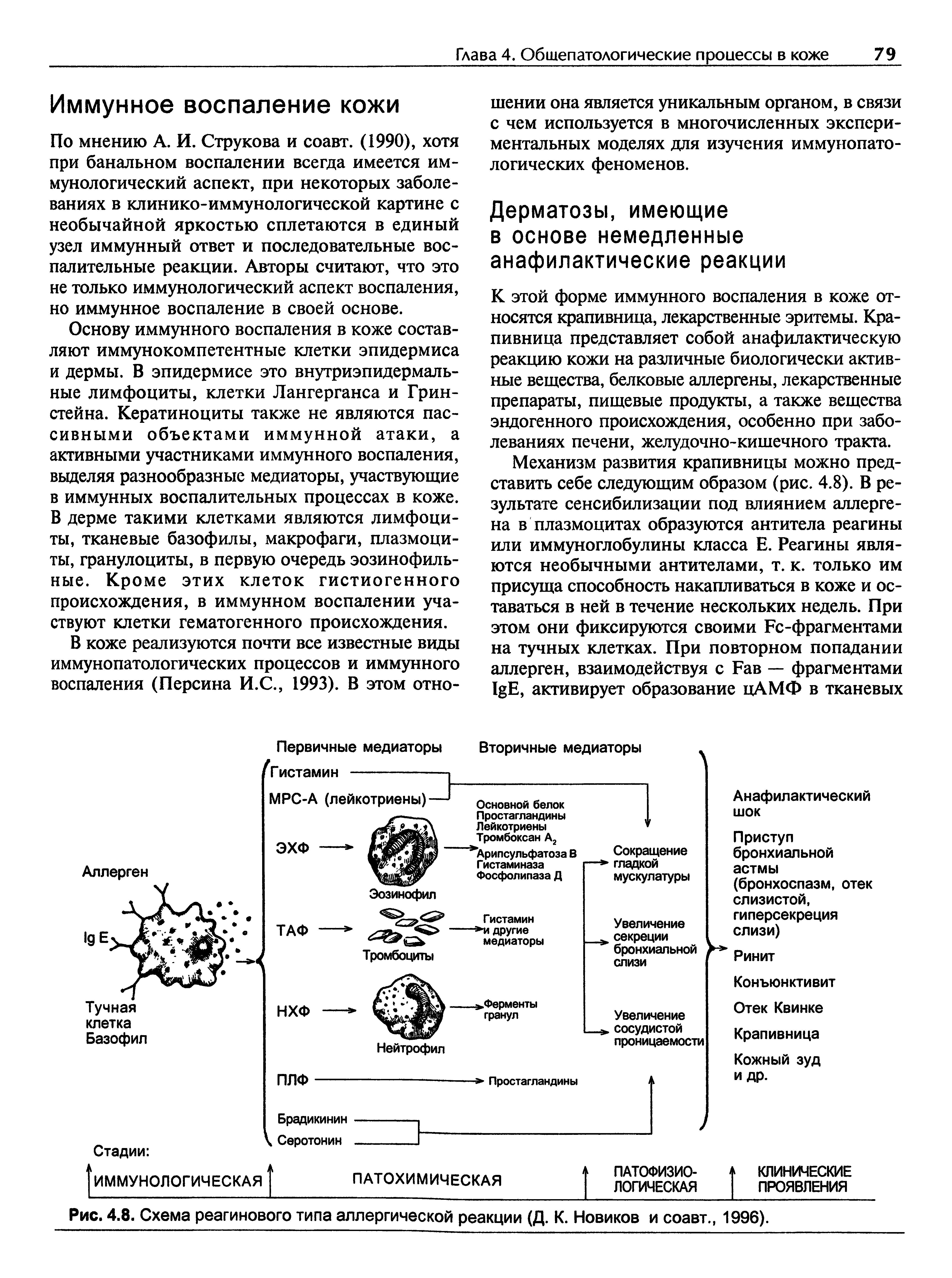 Рис. 4.8. Схема реагинового типа аллергической реакции (Д. К. Новиков и соавт., 1996).