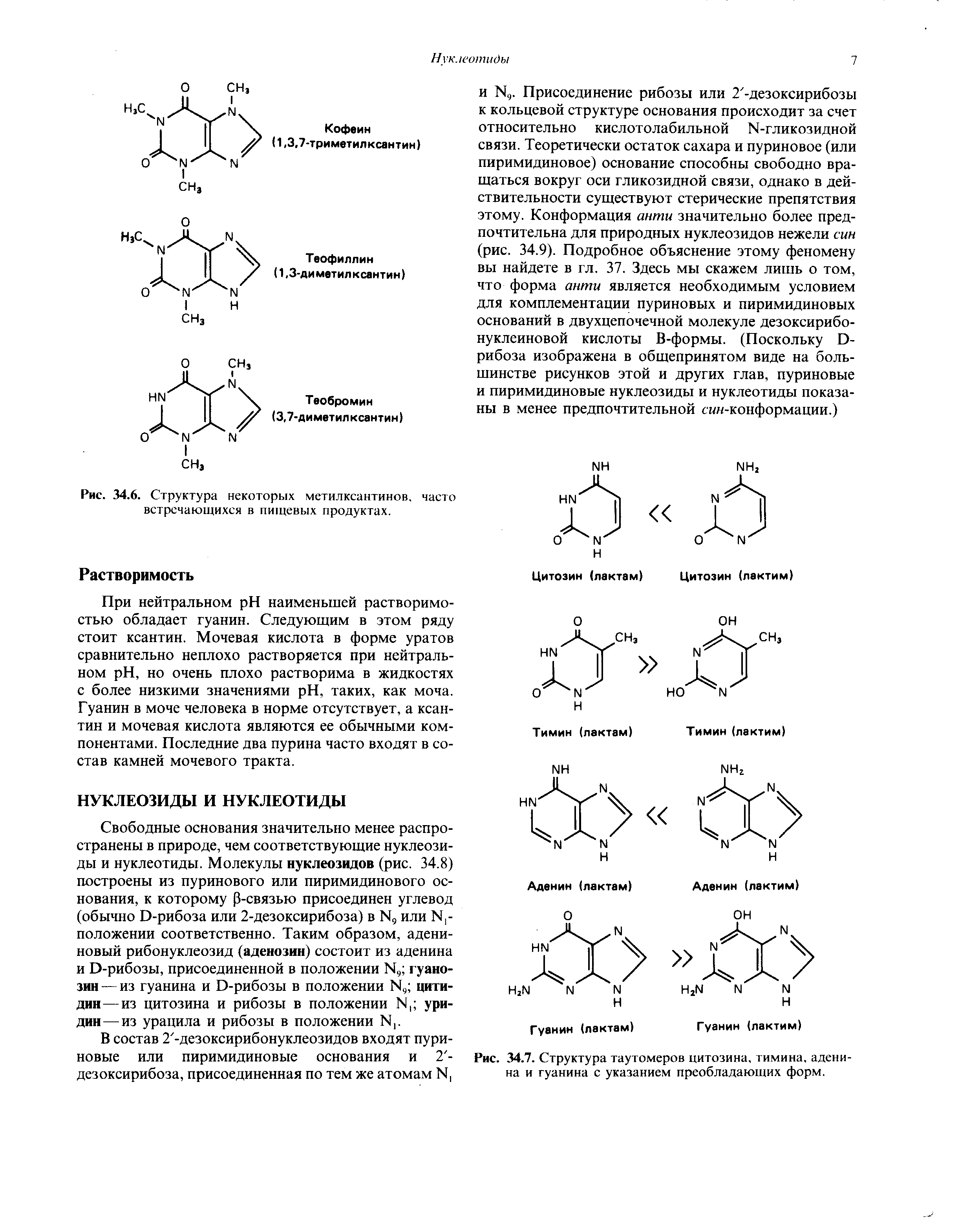 Рис. 34.7. Структура таутомеров цитозина, тимина, аденина и гуанина с указанием преобладающих форм.