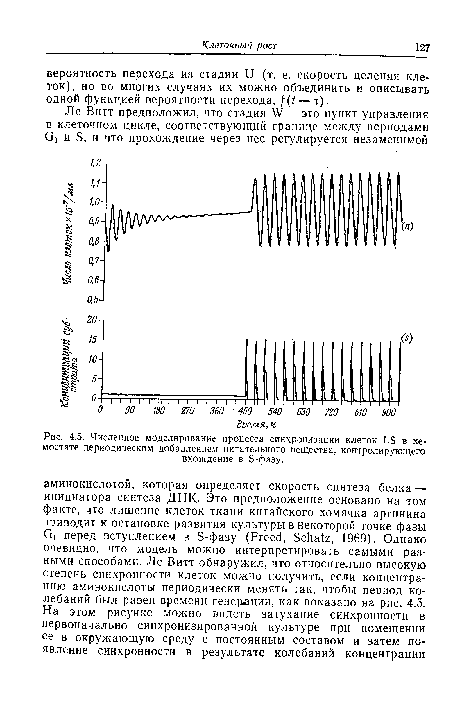 Рис. 4.5. Численное моделирование процесса синхронизации клеток ЬЭ в хемостате периодическим добавлением питательного вещества, контролирующего вхождение в -фазу.