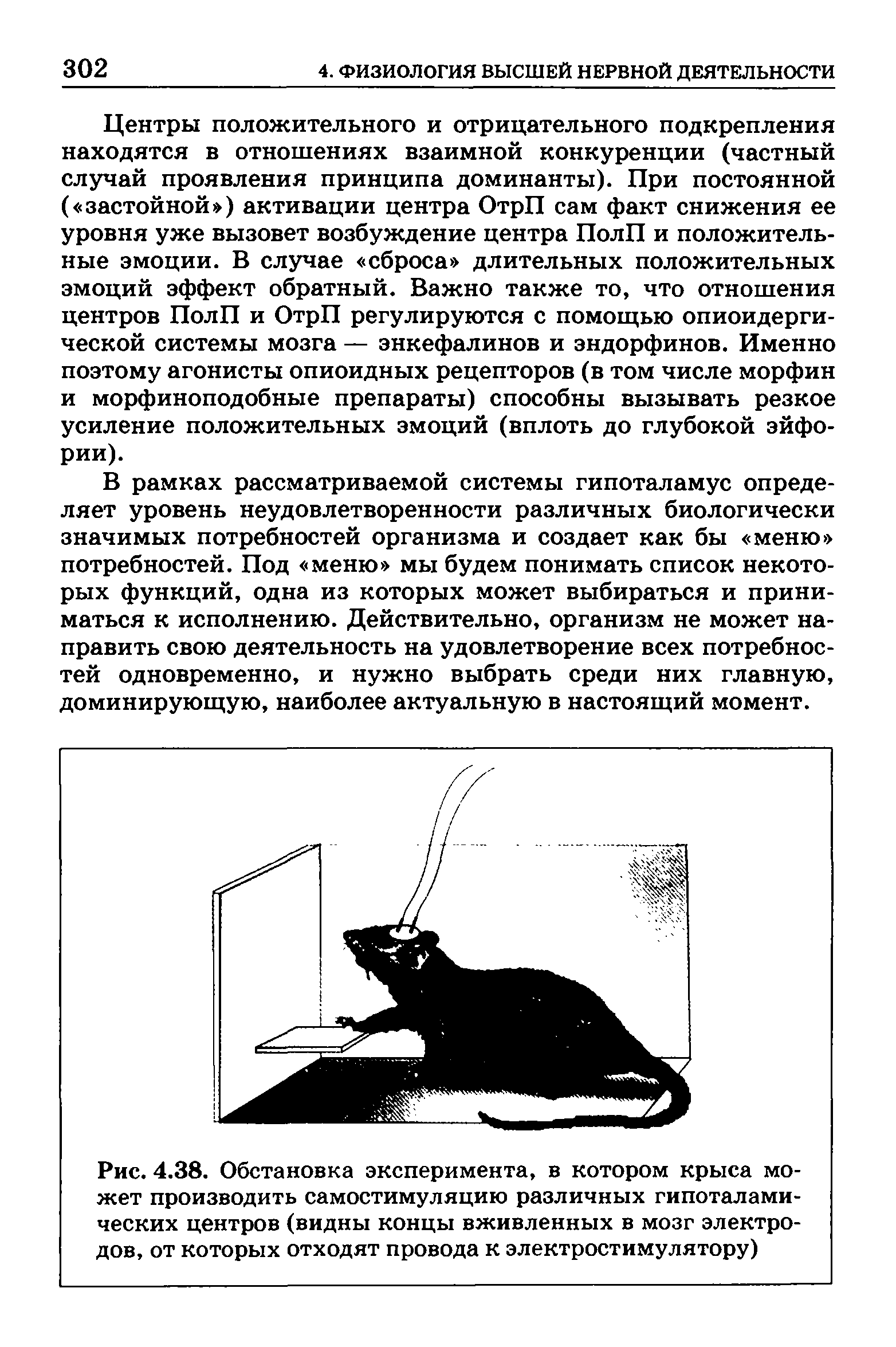 Рис. 4.38. Обстановка эксперимента, в котором крыса может производить самостимуляцию различных гипоталамических центров (видны концы вживленных в мозг электродов, от которых отходят провода к электростимулятору)...