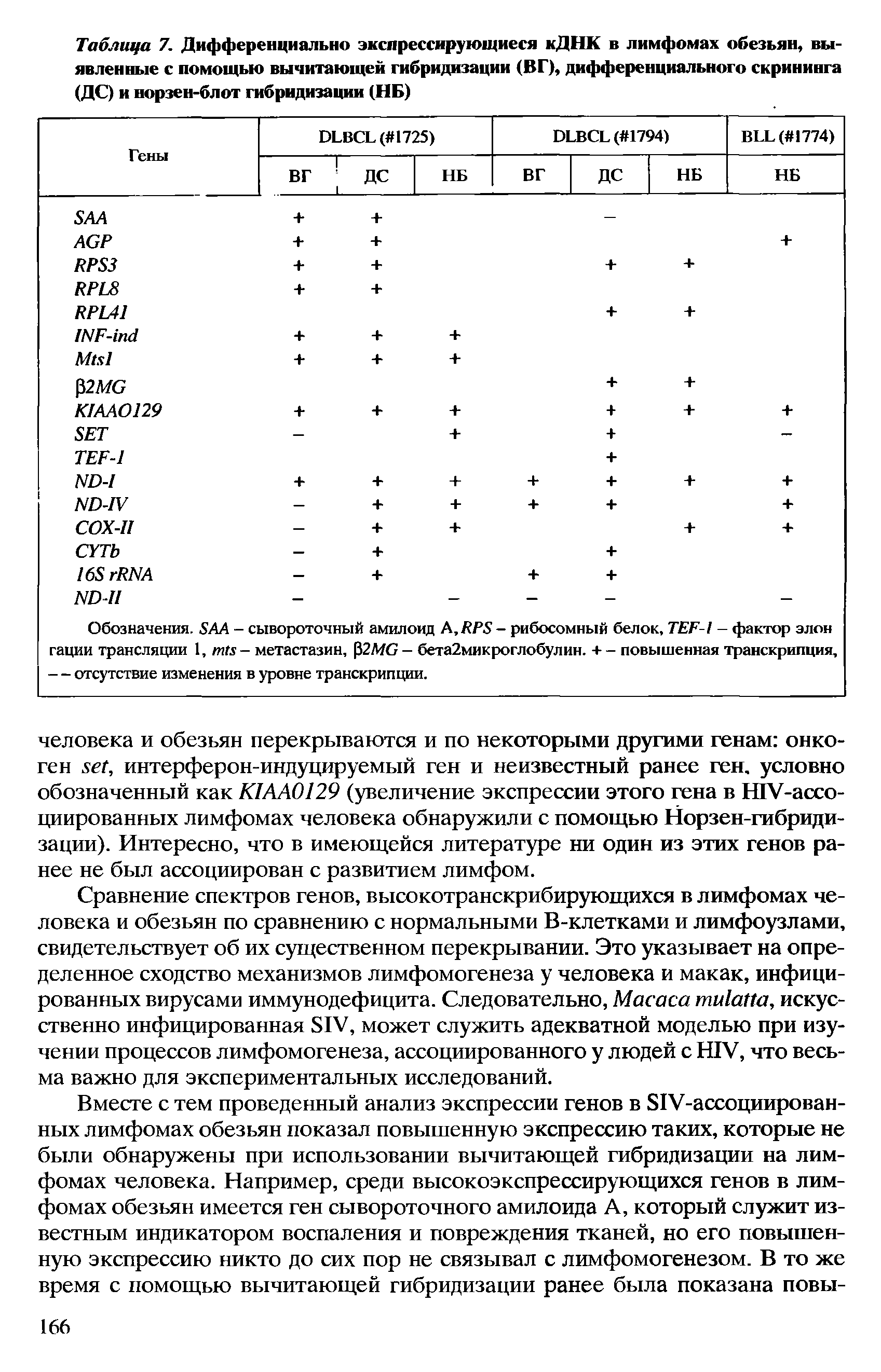 Таблица 7. Дифференциально экспрессирующиеся кДНК в лимфомах обезьян, выявленные с помощью вычитающей гибридизации (ВГ), дифференциального скрининга (ДС) и норзен-блот гибридизации (НБ)...