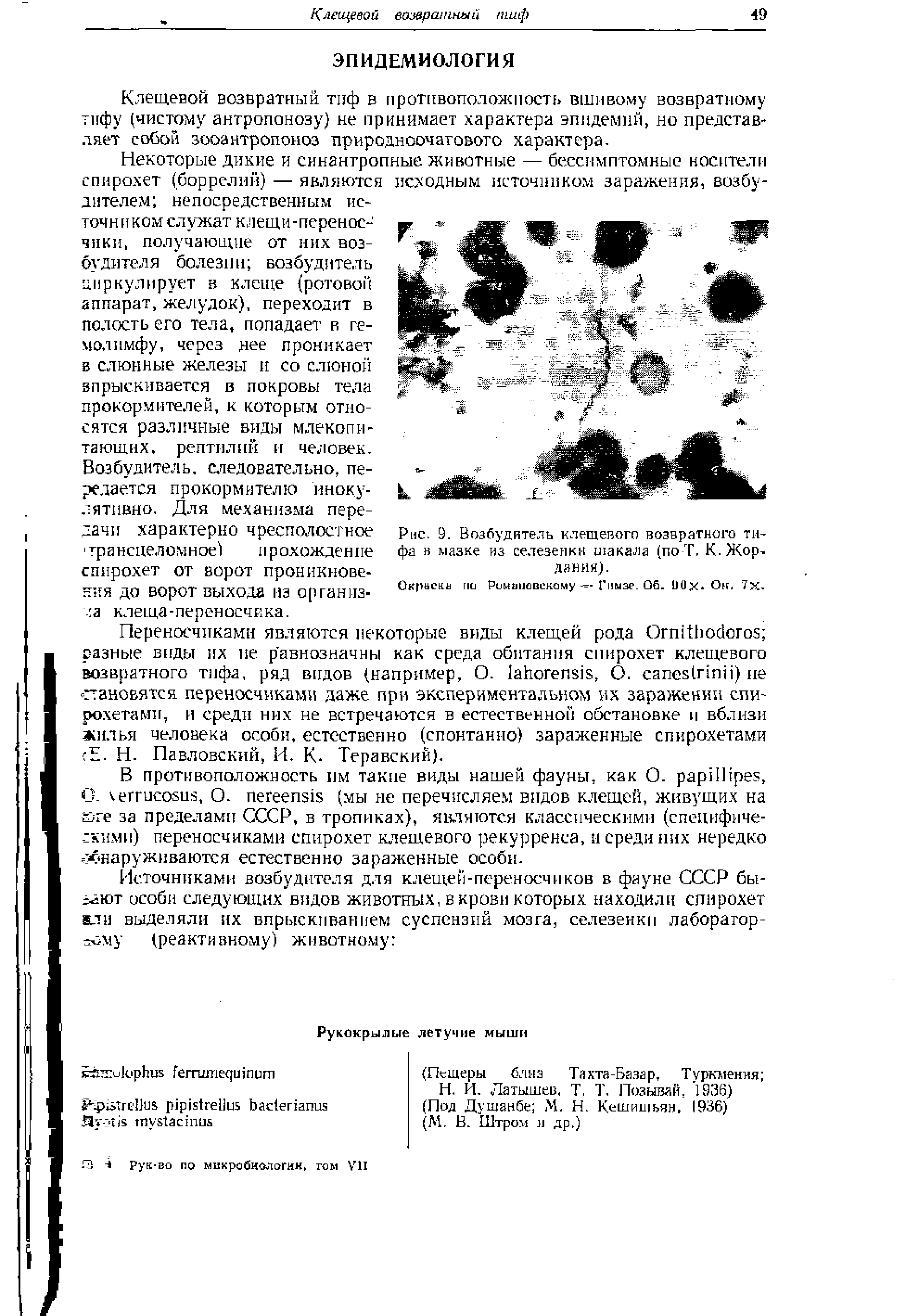 Рис. 9. Возбудитель клещевого возвратного тифа в мазке из селезенки шакала (поТ. К. Жор. данин).