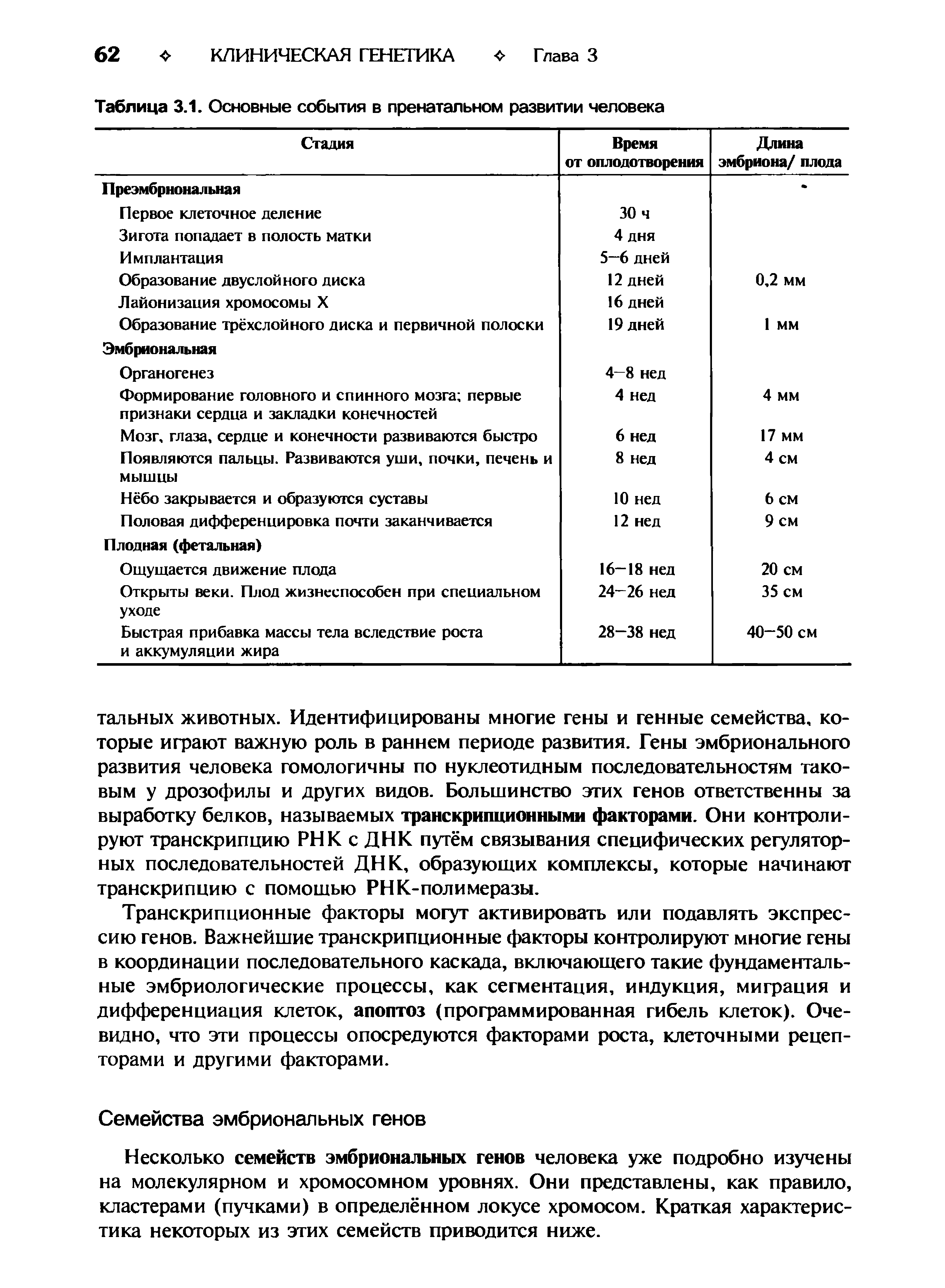 Таблица 3.1. Основные события в пренатальном развитии человека...