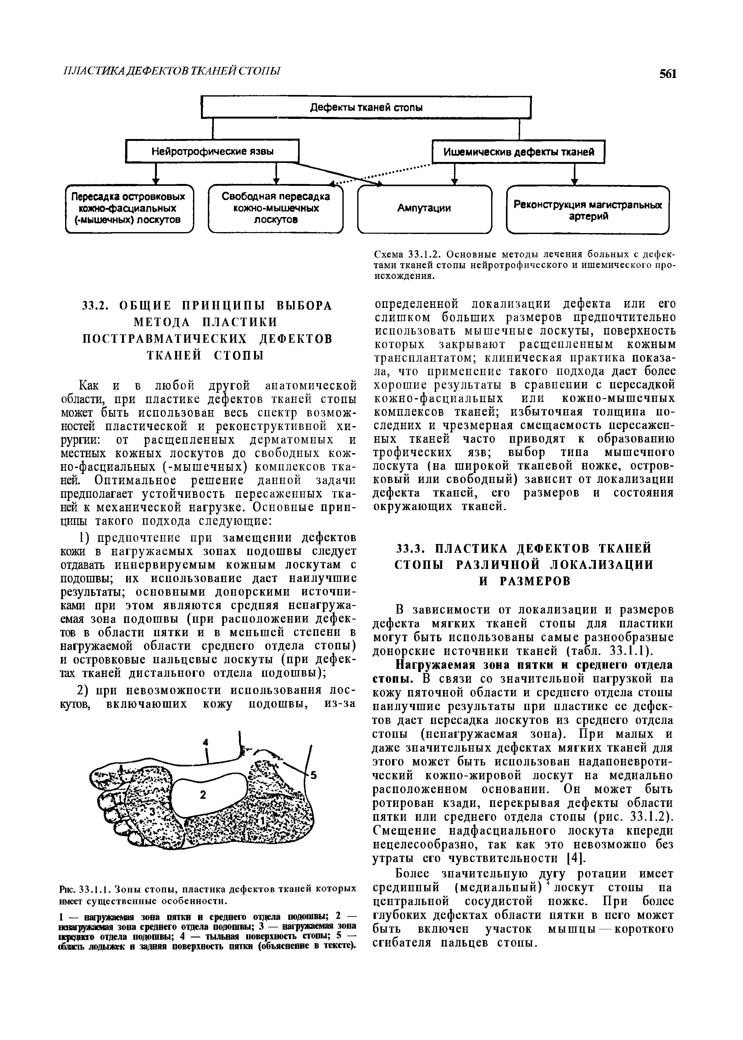 Рис. 33.1.1. Зоны стопы, пластика дефектов тканей которых имеет существенные особенности.