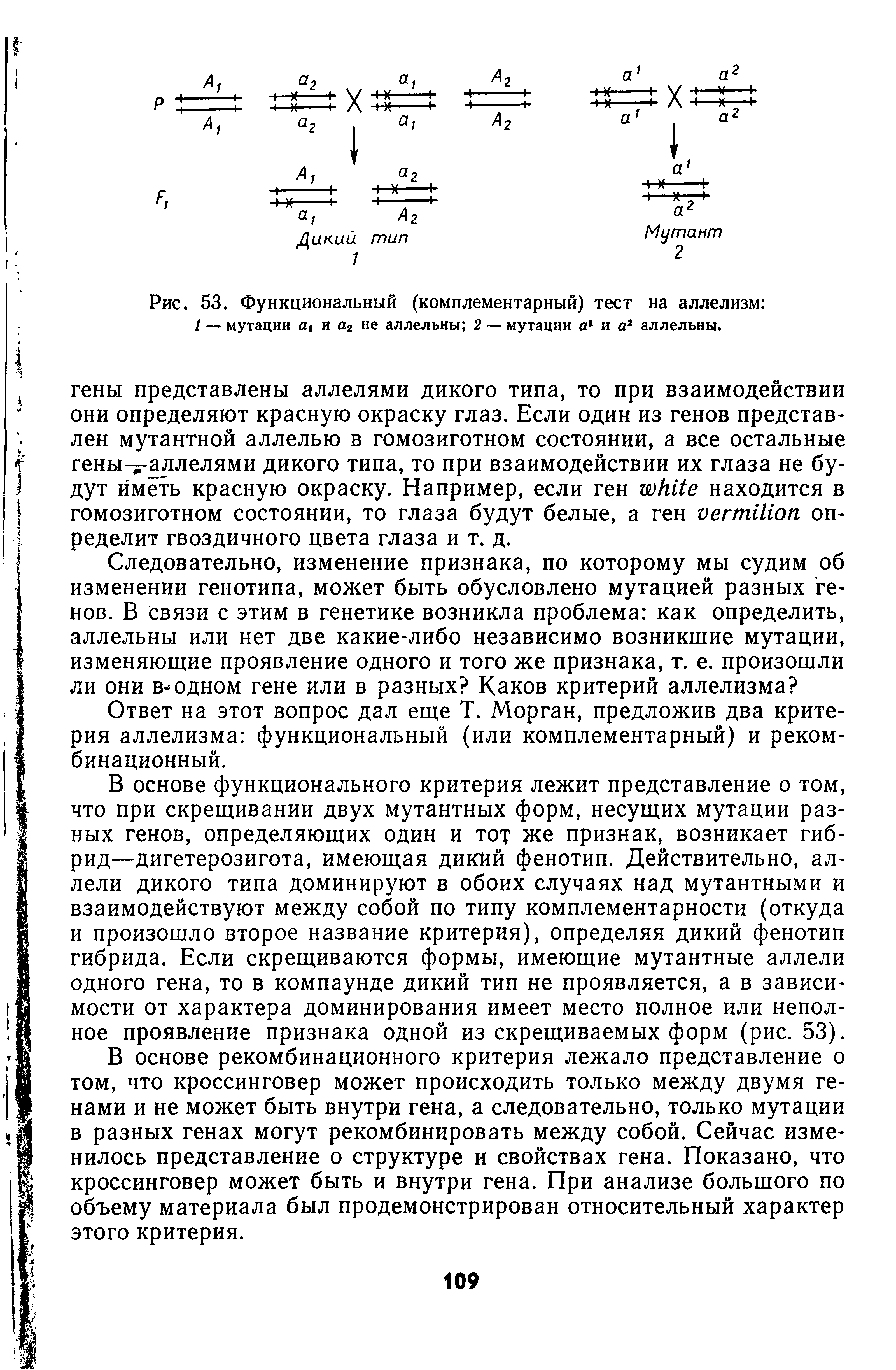 Рис. 53. Функциональный (комплементарный) тест на аллелизм 1 — мутации а и а2 не аллельны 2 — мутации а и а2 аллельны.