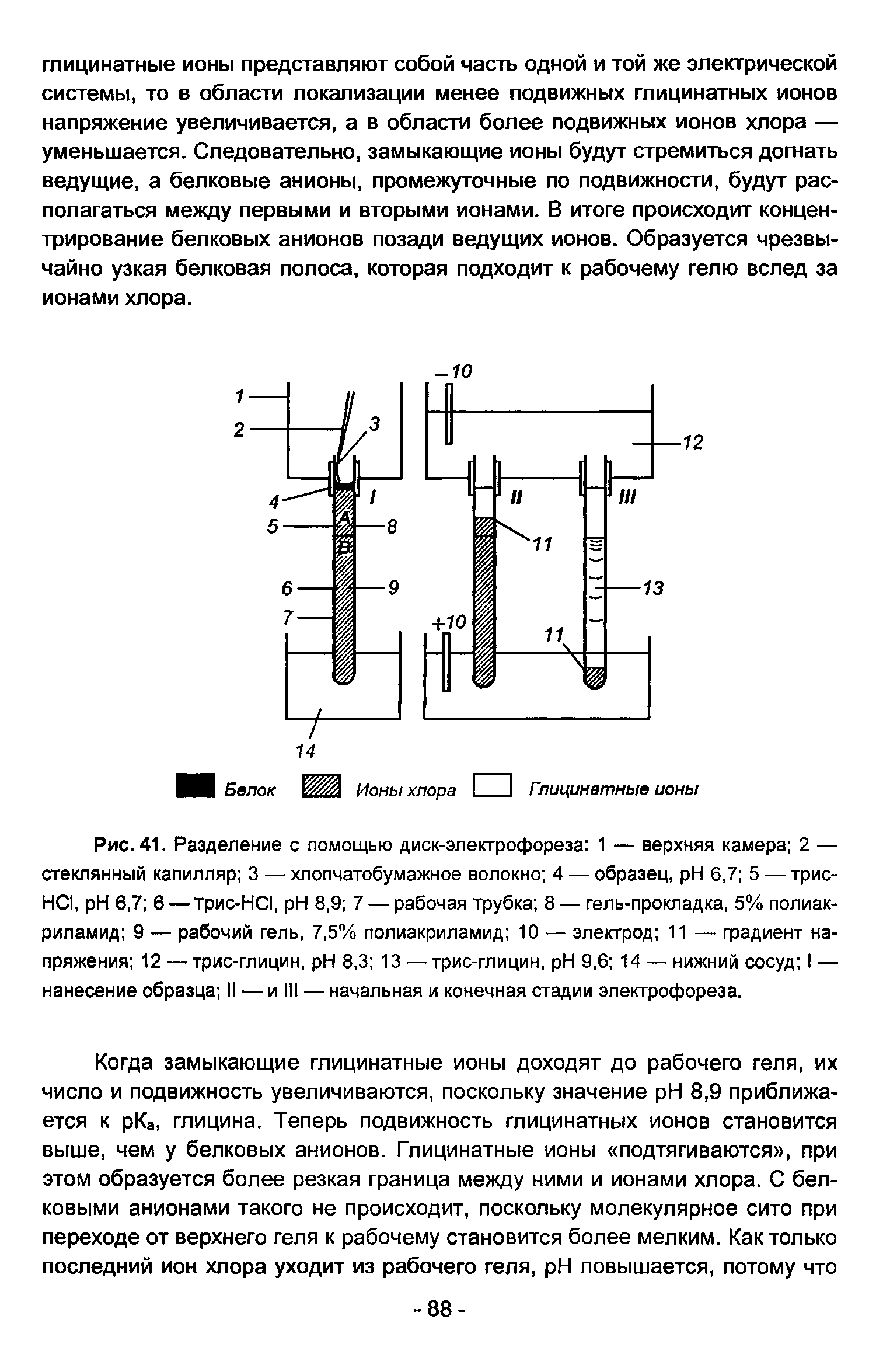 Рис. 41. Разделение с помощью диск-электрофореза 1 — верхняя камера 2 — стеклянный капилляр 3 — хлопчатобумажное волокно 4 — образец, H 6,7 5 — трис-HCI, H 6,7 6 — трис-HCI, H 8,9 7 — рабочая трубка 8 — гель-прокладка, 5% полиакриламид 9 — рабочий гель, 7,5% полиакриламид 10 — электрод 11 — градиент напряжения 12 — трис-глицин, H 8,3 13 — трис-глицин, H 9,6 14 — нижний сосуд I — нанесение образца II — и III — начальная и конечная стадии электрофореза.