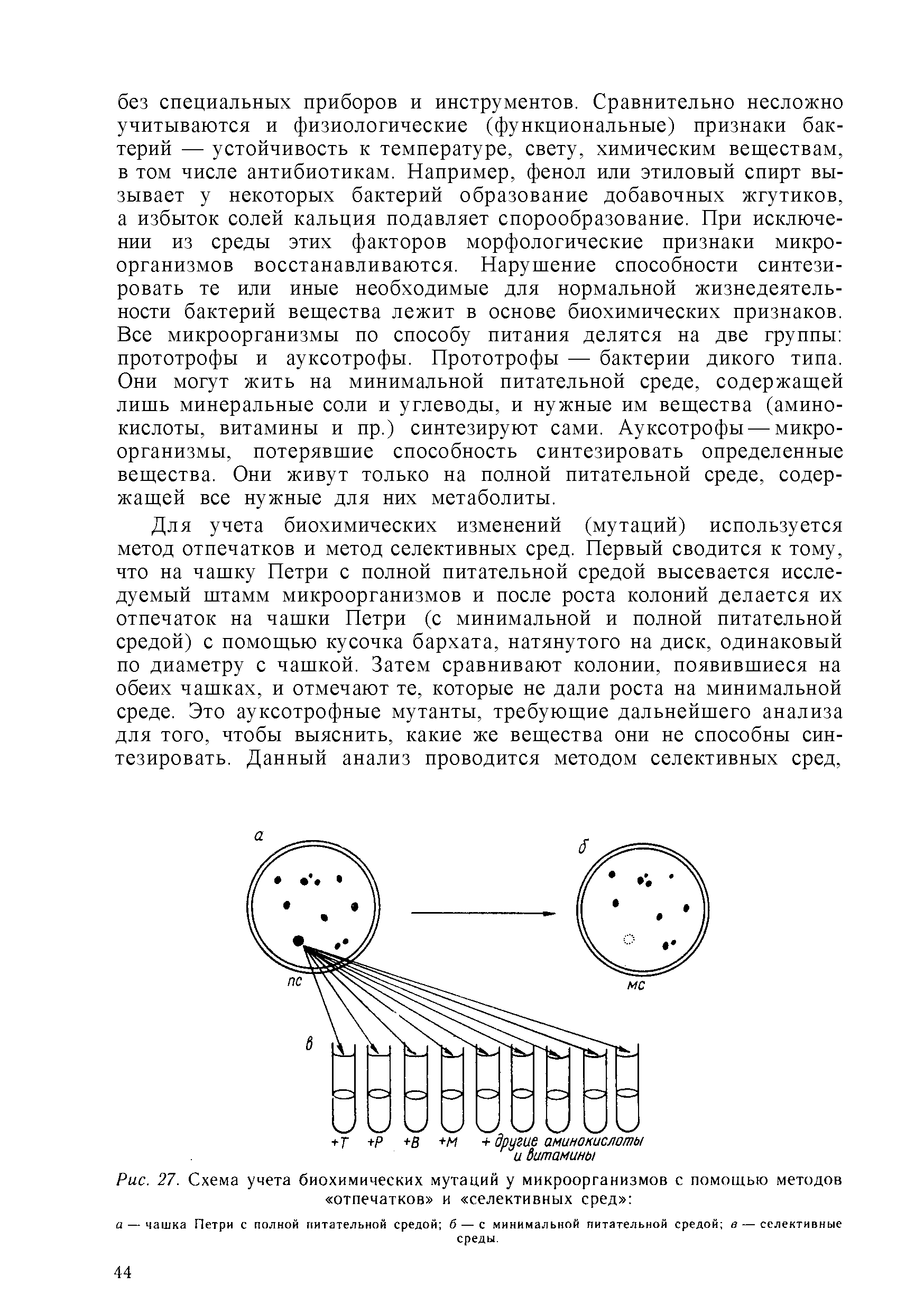 Рис. 27. Схема учета биохимических мутаций у микроорганизмов с помощью методов отпечатков и селективных сред ...