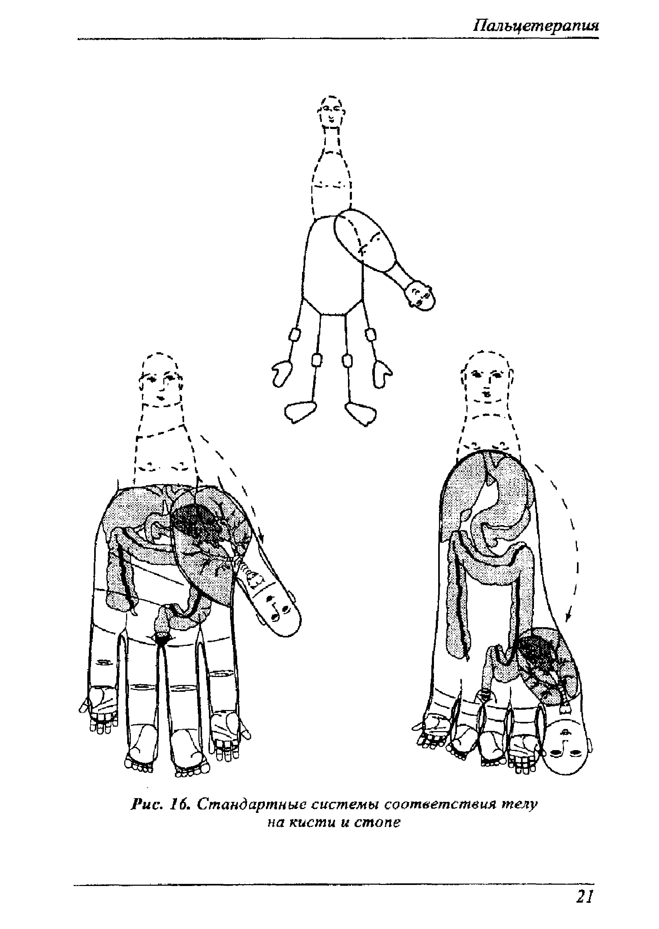 Рис. 16. Стандартные системы соответствия телу на кисти и стопе...