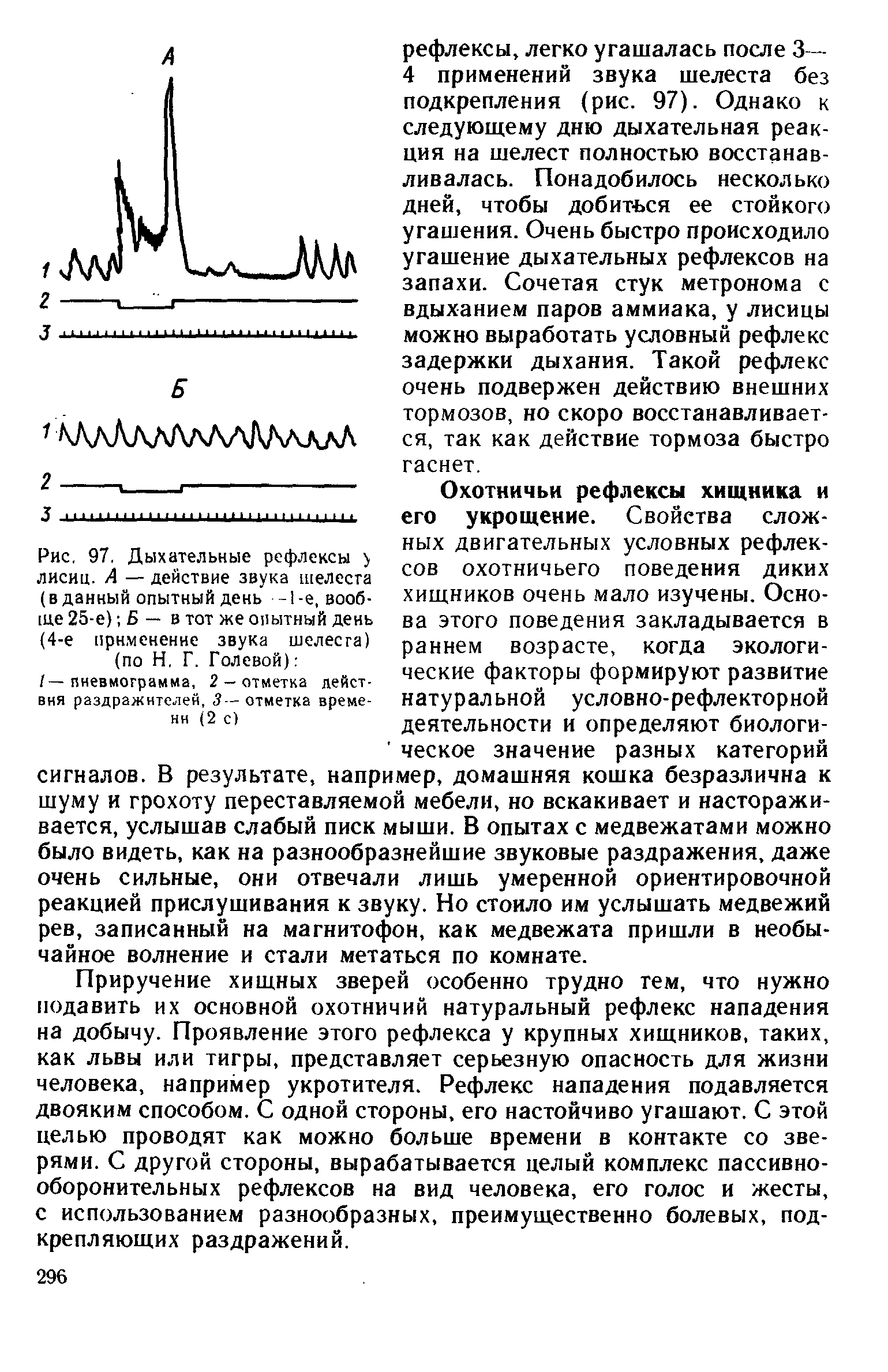 Рис. 97. Дыхательные рефлексы у лисиц. А — действие звука шелеста (в данный опытный день -1 -е, вообще 25-е) Б — в тот же опытный день (4-е применение звука шелеста) (по Н. Г. Голевой) ...