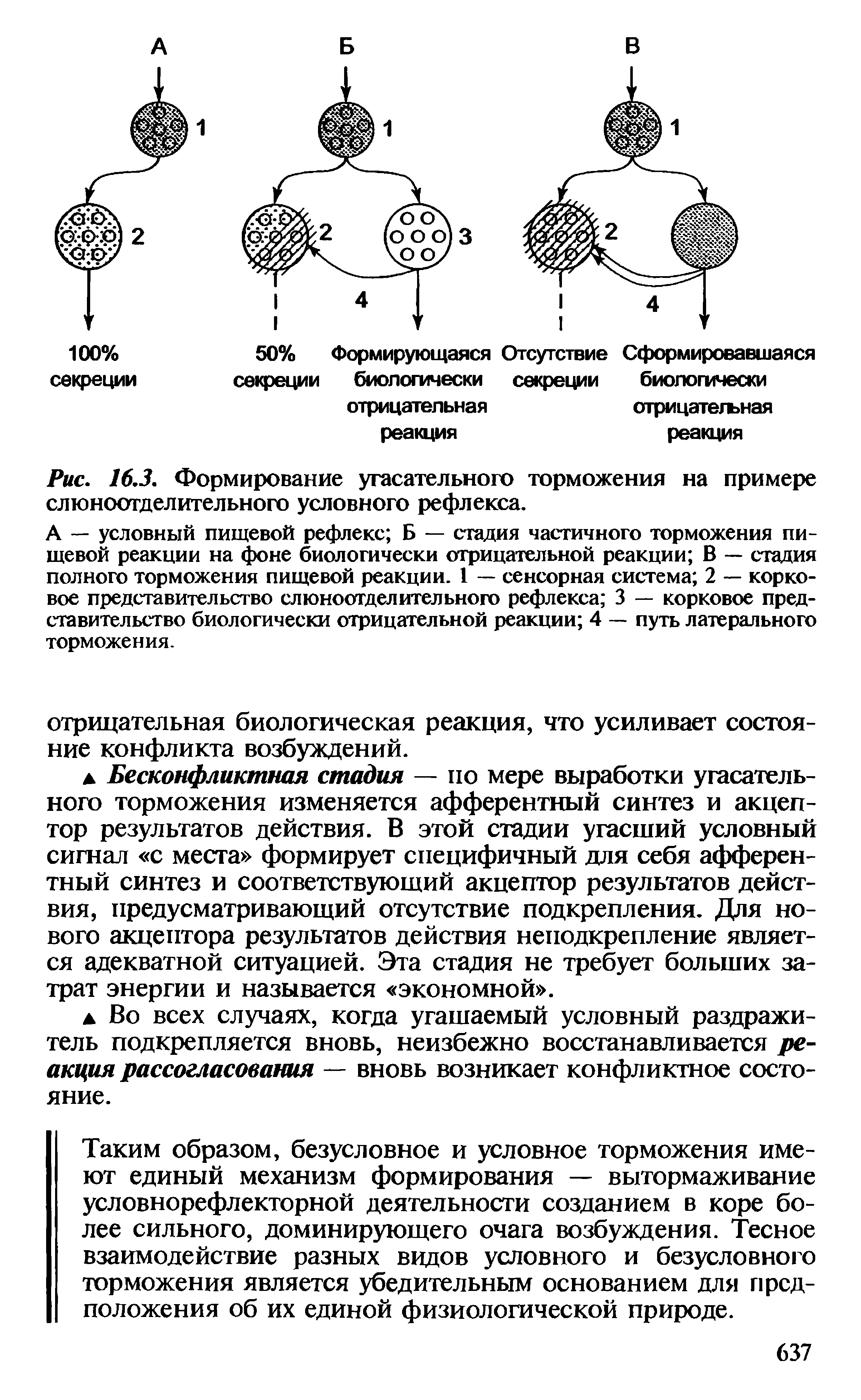 Рис. 16.3. Формирование угасательного торможения на примере слюноотделительного условного рефлекса.