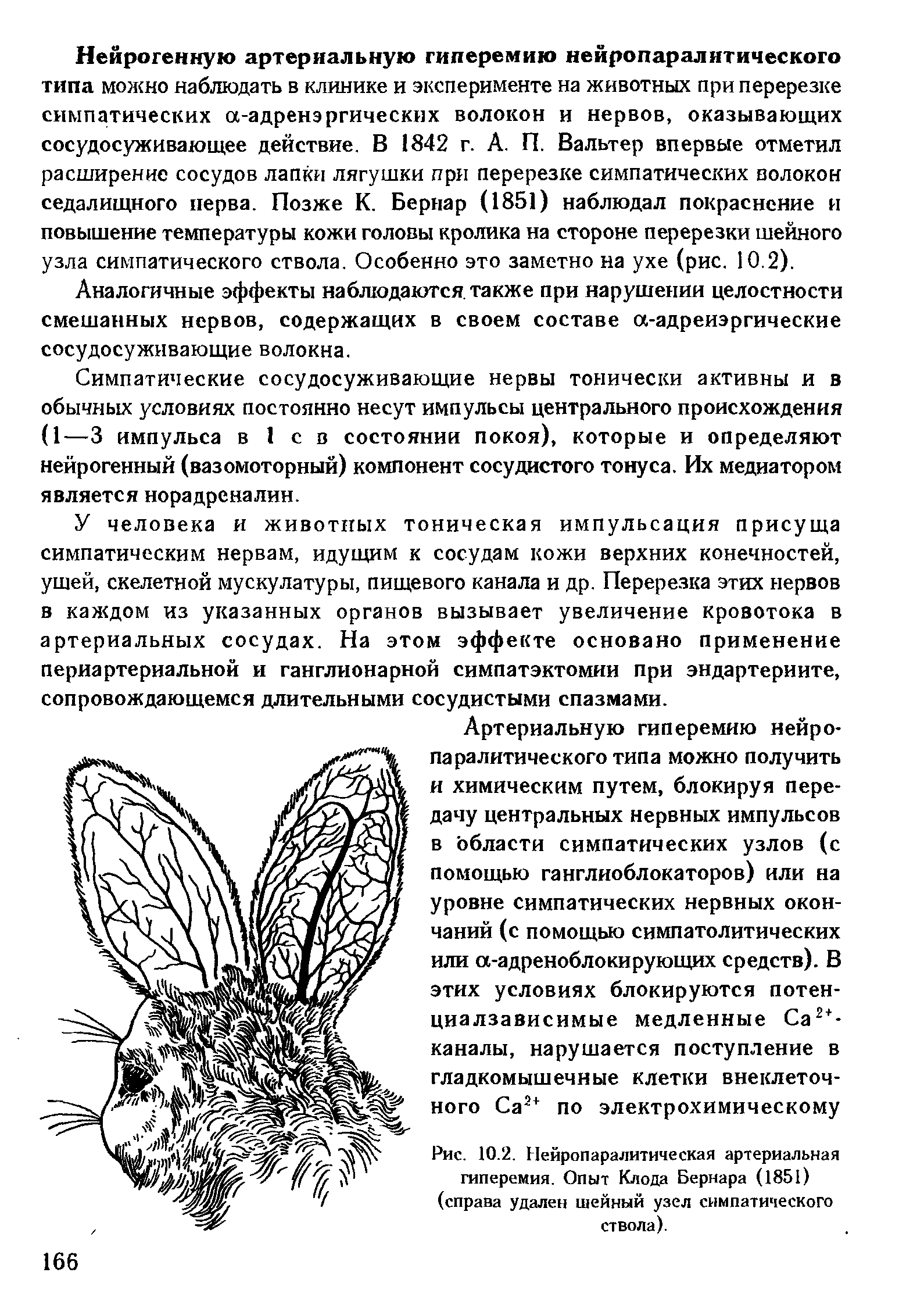 Рис. 10.2. Нейропаралитическая артериальная гиперемия. Опыт Клода Бернара (1851) (справа удален шейный узел симпатического ствола).