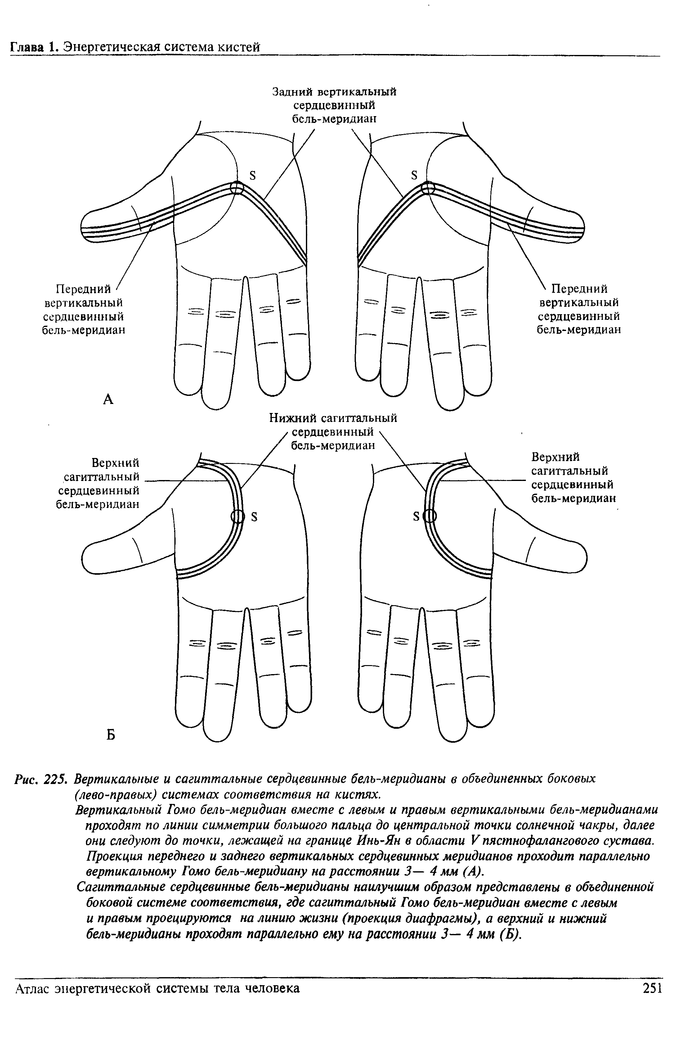 Рис. 225. Вертикальные и сагиттальные сердцевинные бель-меридианы в объединенных боковых (лево-правых) системах соответствия на кистях.