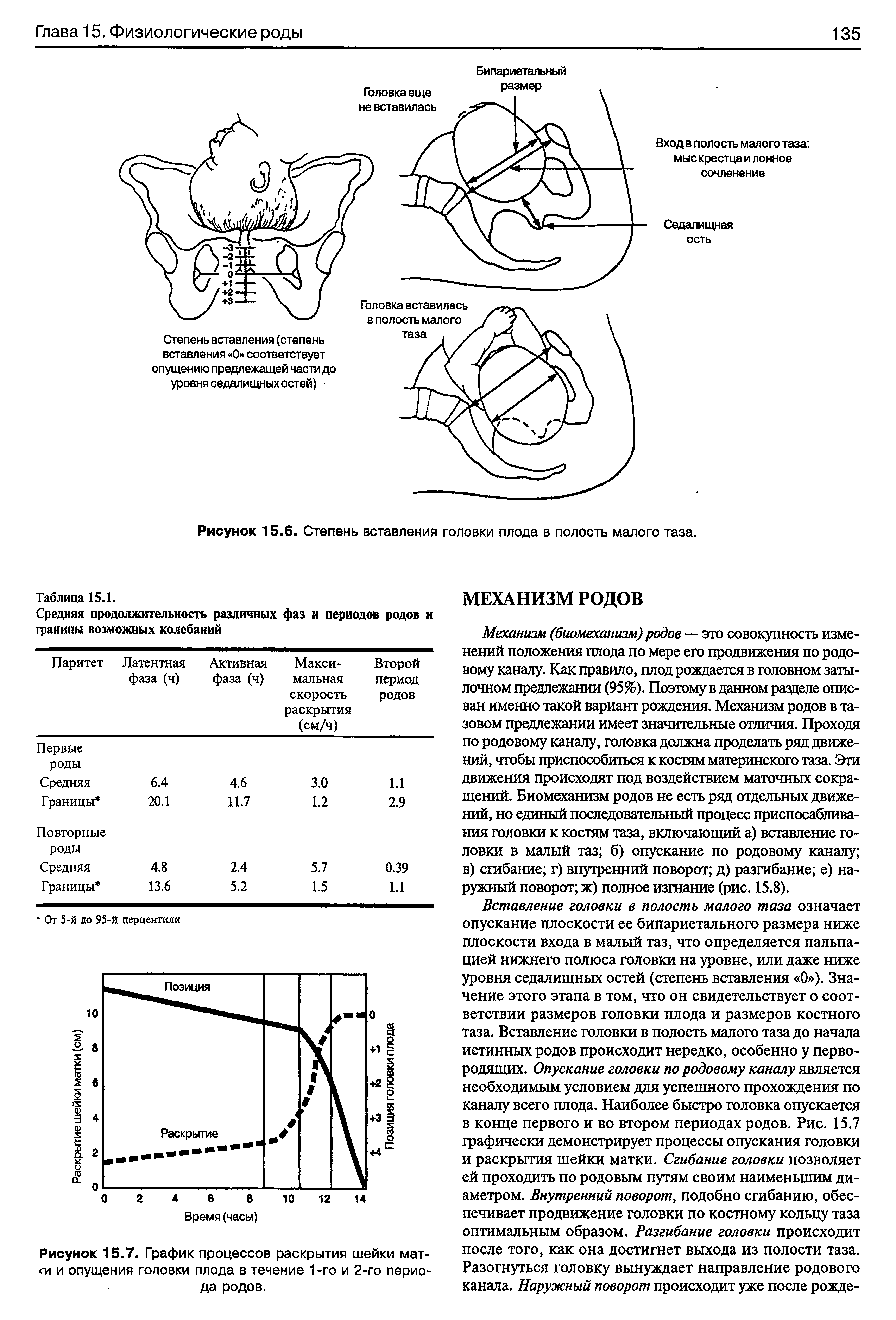 Рисунок 15.7. График процессов раскрытия шейки мат-и опущения головки плода в течение 1 -го и 2-го периода родов.